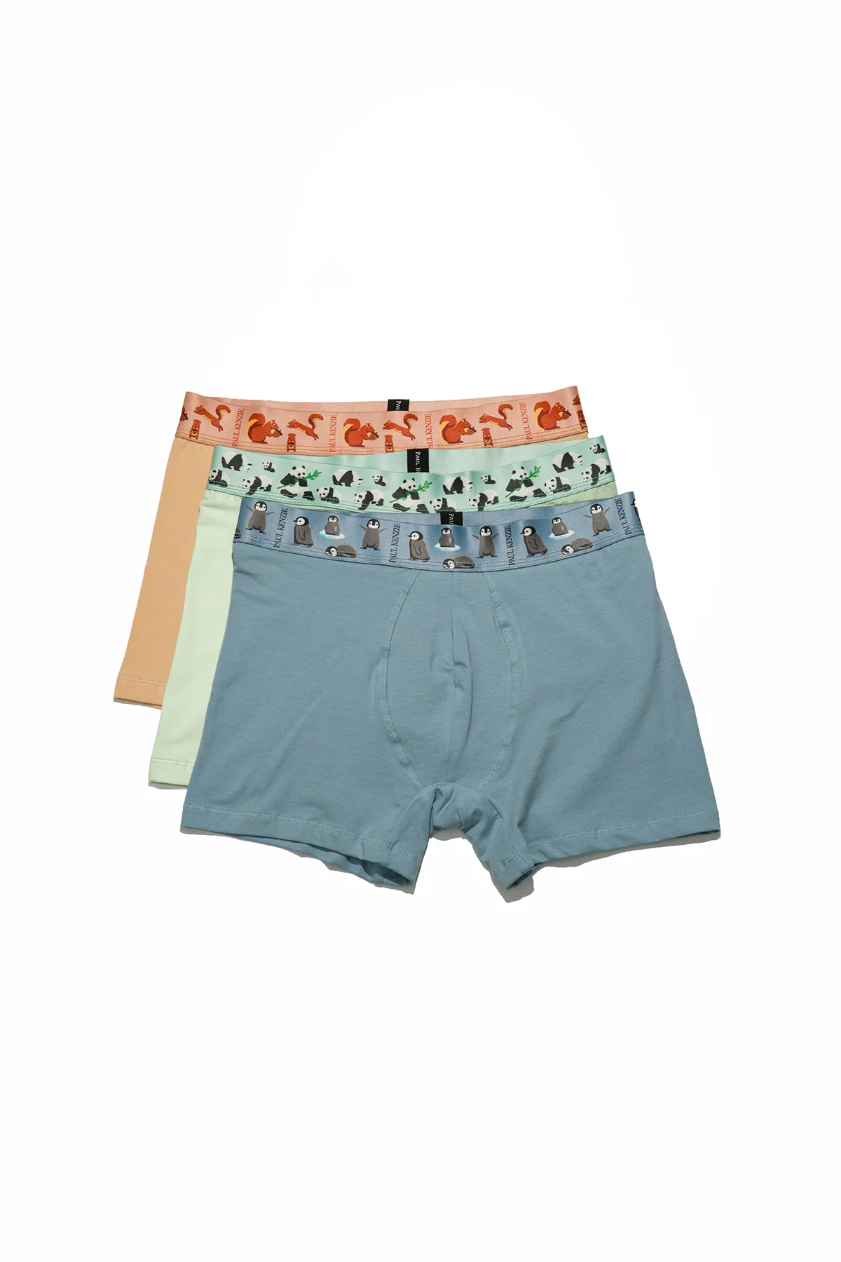 3'lü Erkek Boxer - Eco Characters - Ecological - Image 2