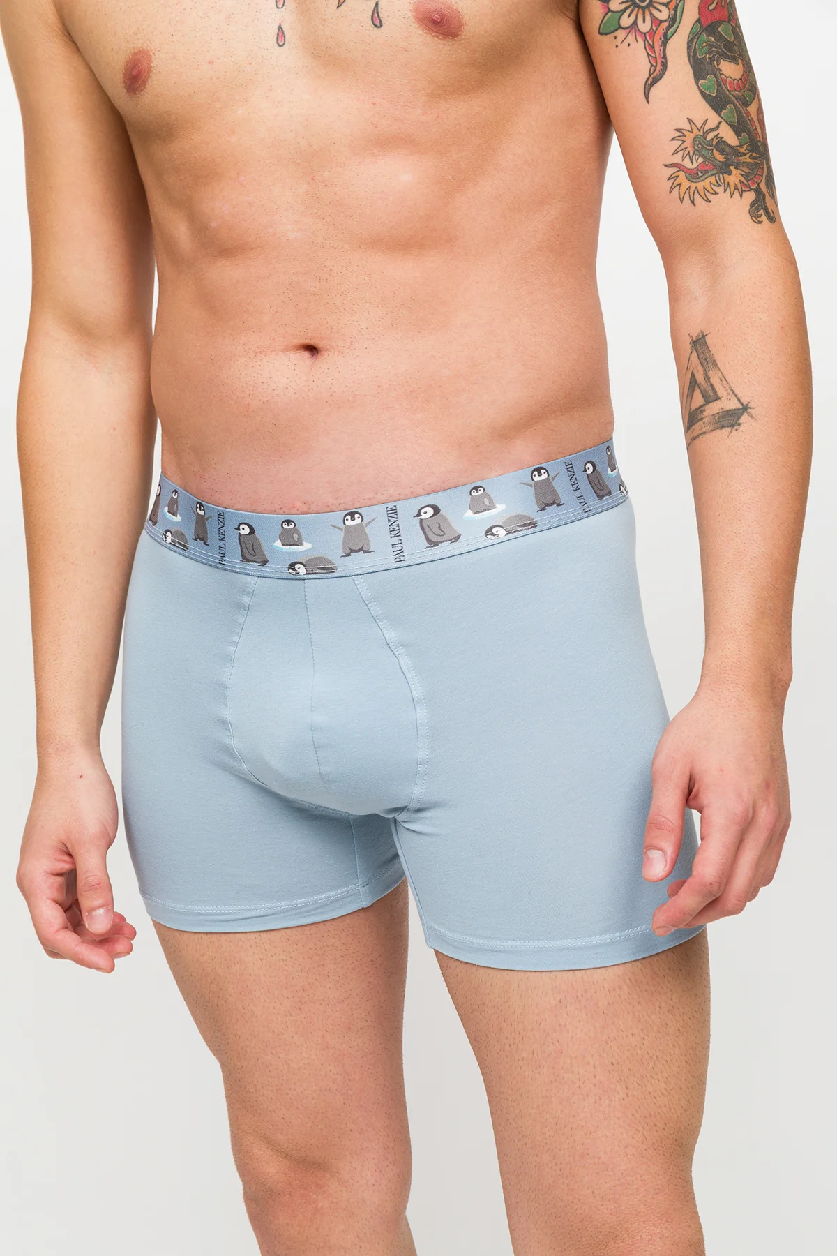 3'lü Erkek Boxer - Eco Characters - Ecological - Image 5