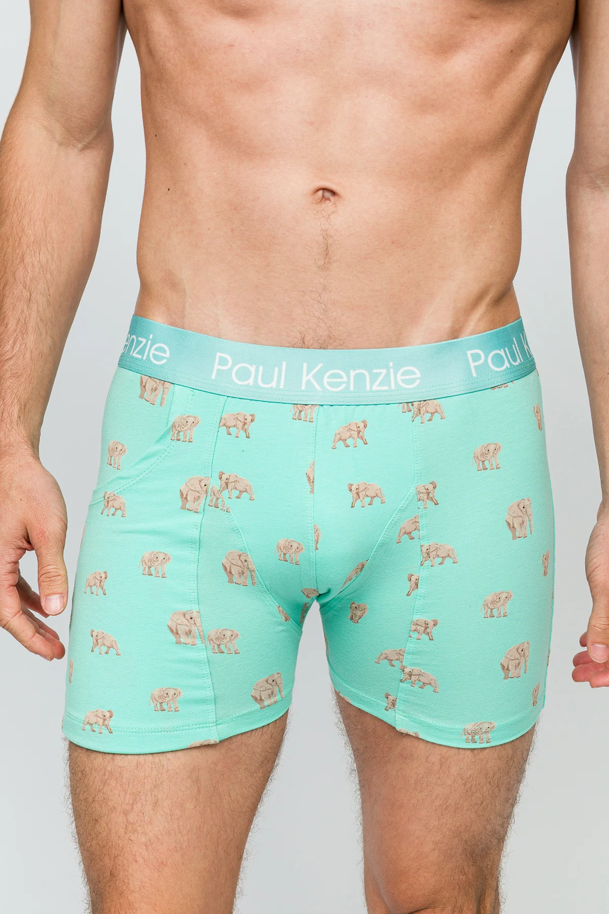 Cepli Erkek Boxer - Elephantastic - Pockets - Image 7