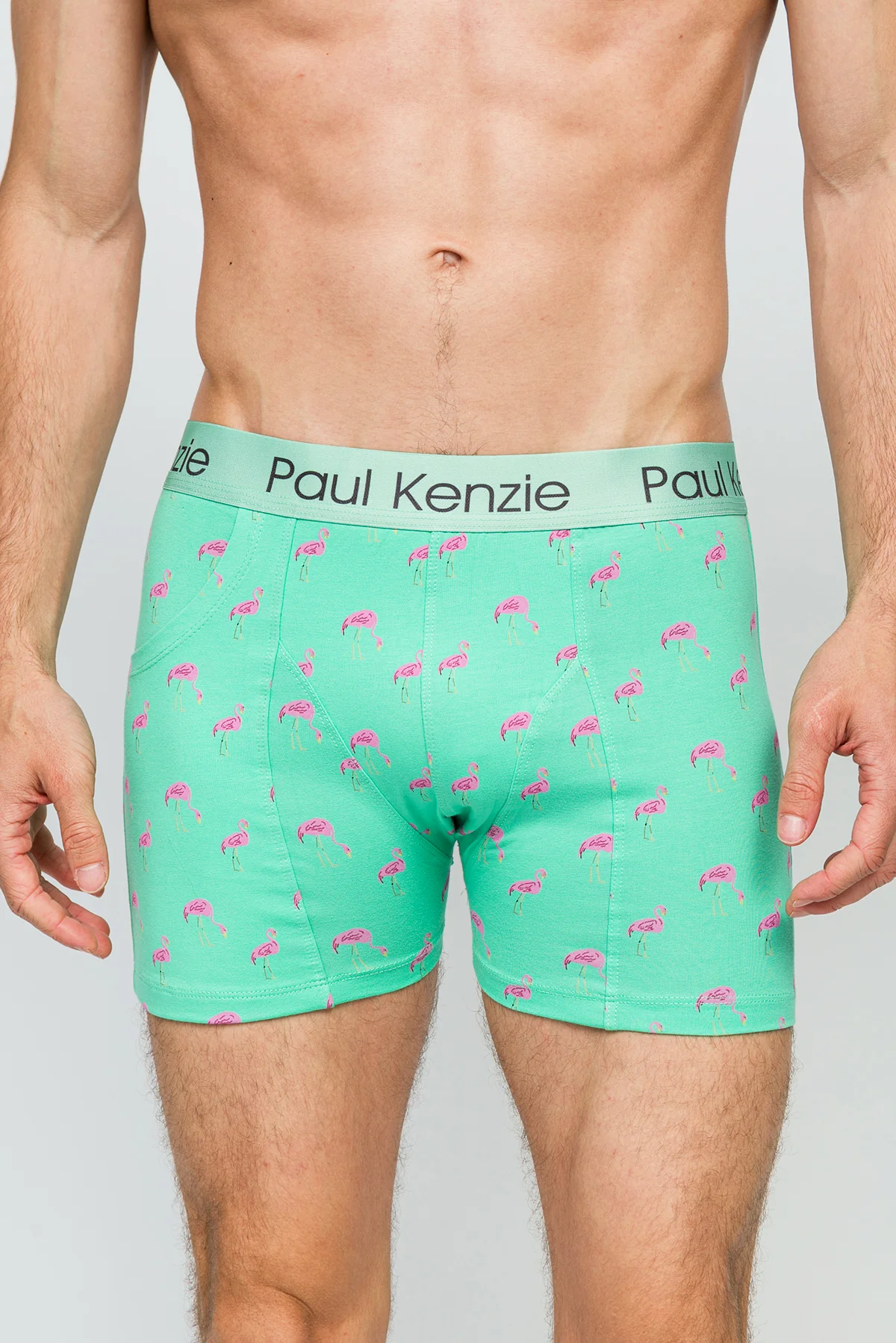 Cepli Erkek Boxer - Pink Birdy - Pockets - Image 5