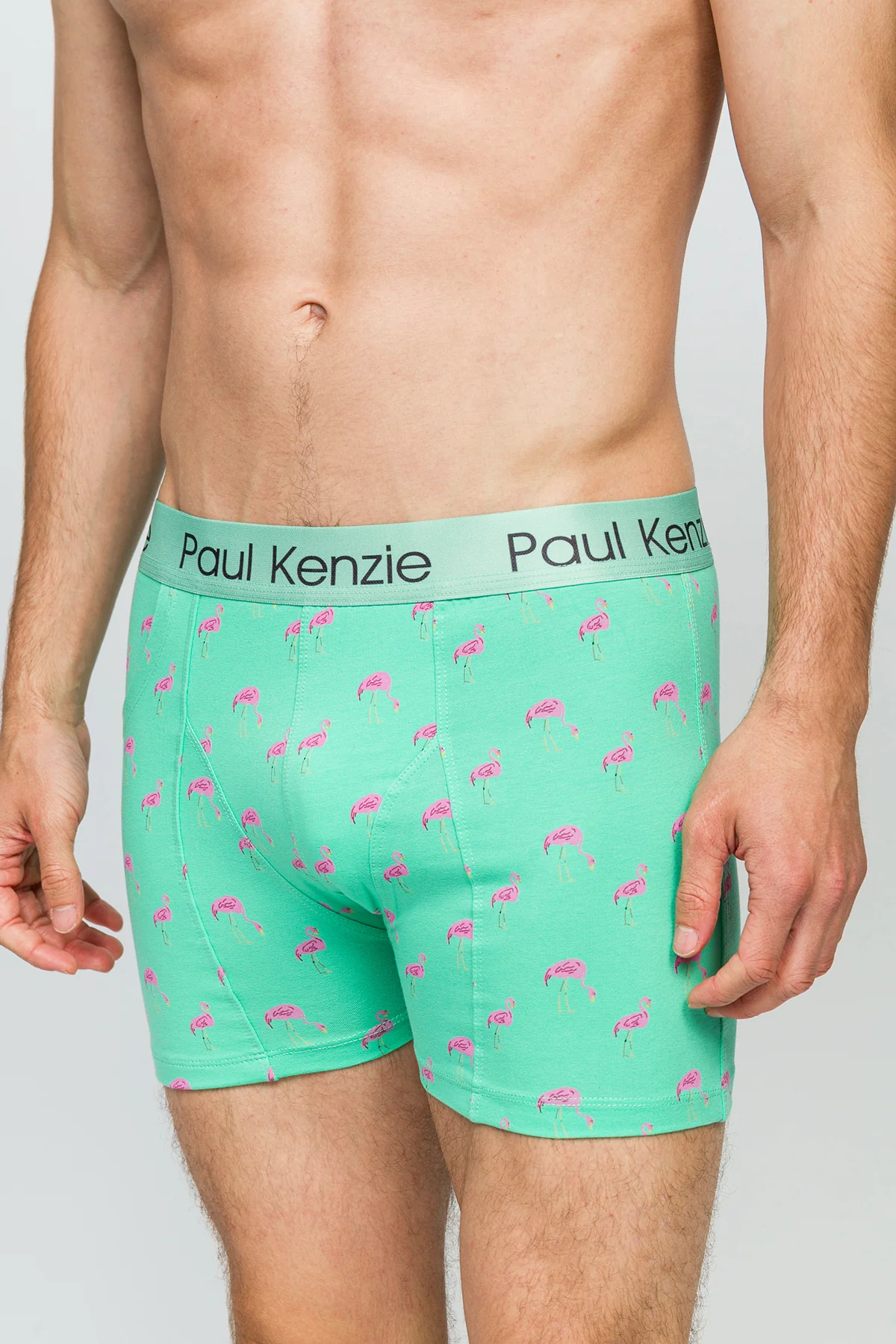Cepli Erkek Boxer - Pink Birdy - Pockets - Image 6