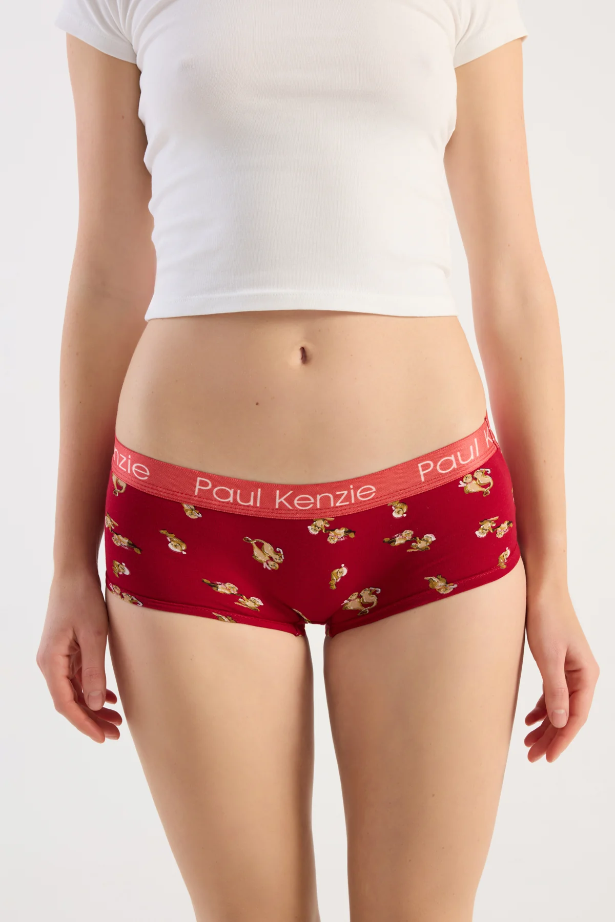 Christmas Collection - Kadın Boyshort Külot - OtterHalf - Image 5