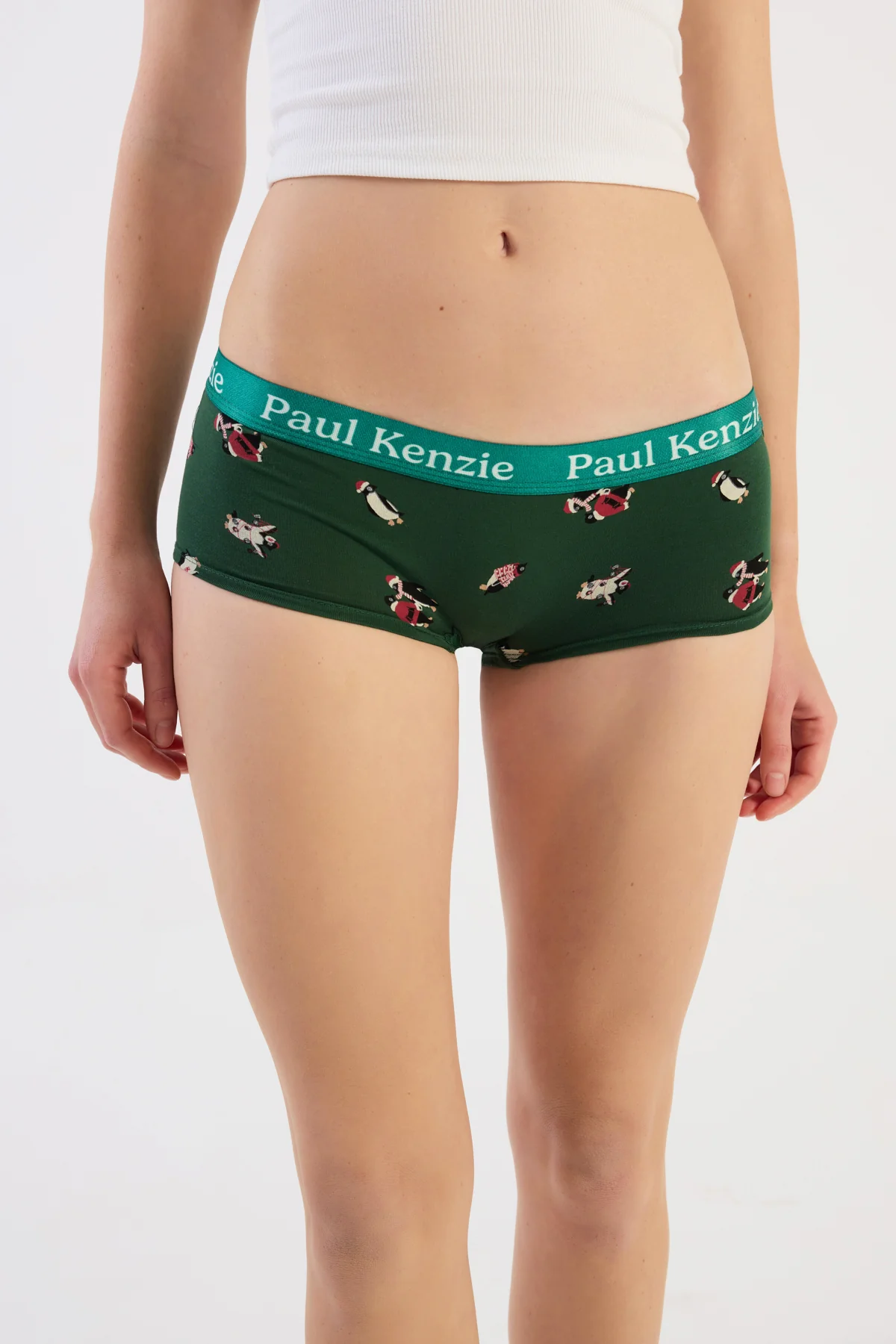 Christmas Collection - Kadın Boyshort Külot - Pengu in Wonderland - Image 5