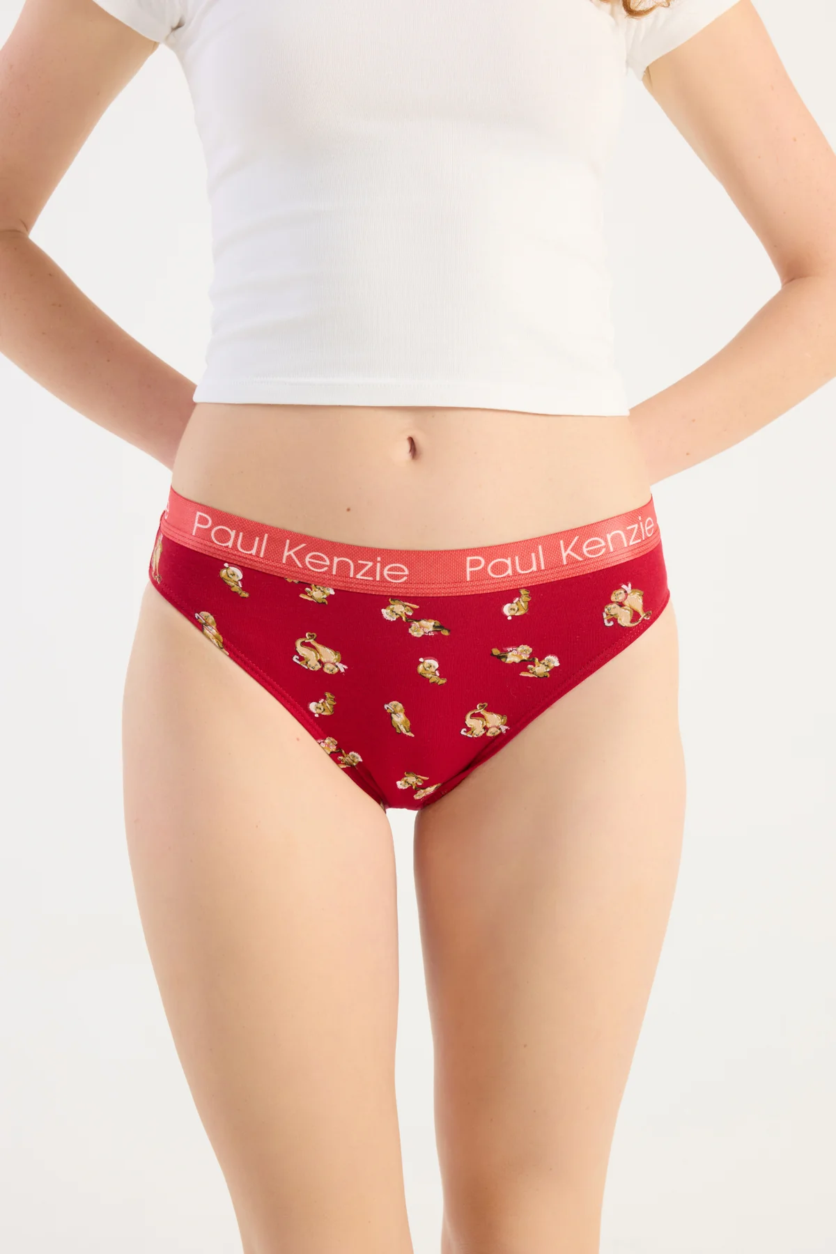 Christmas Collection - Kadın Slip Külot - OtterHalf - Image 5