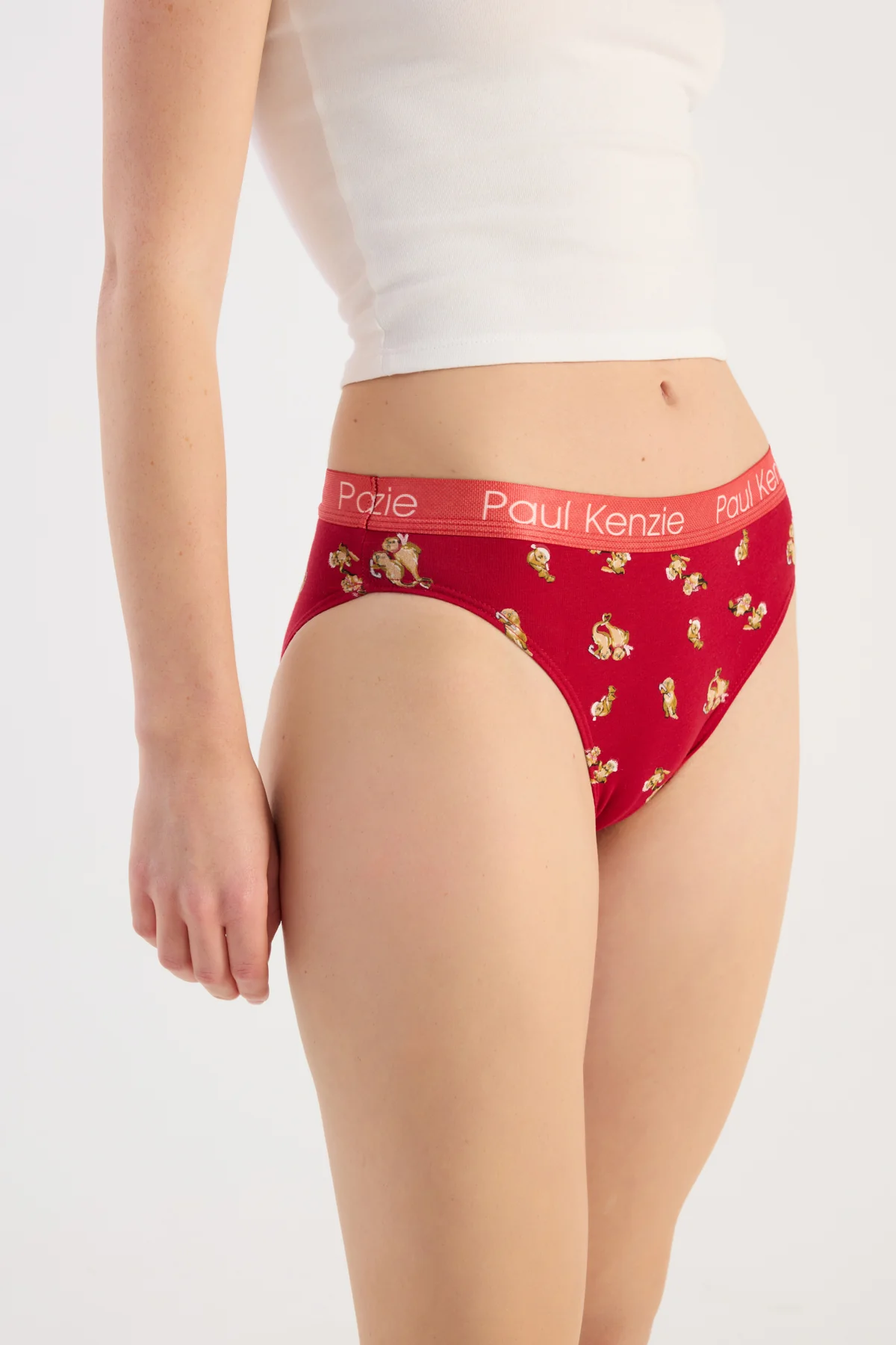 Christmas Collection - Kadın Slip Külot - OtterHalf - Image 6