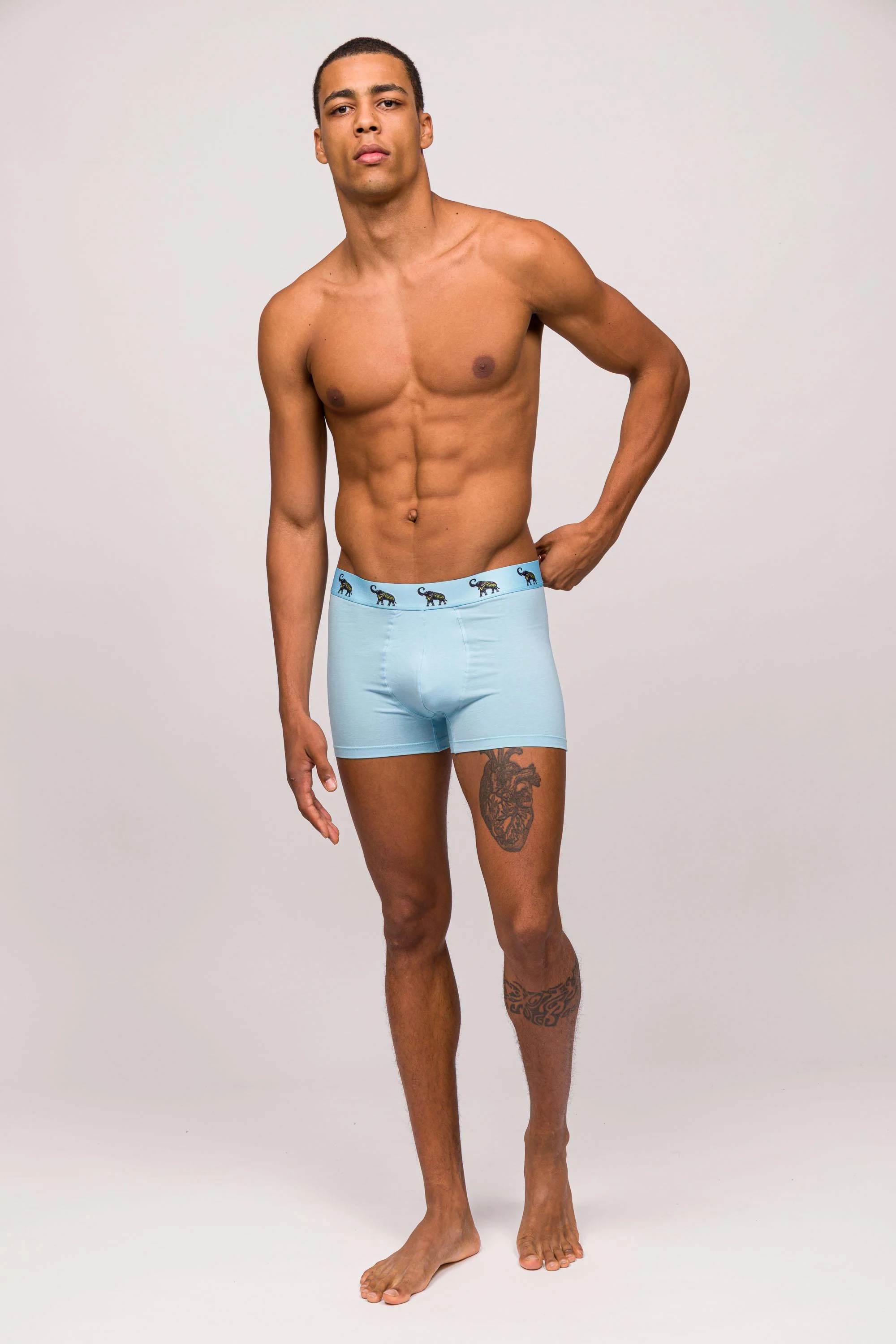 Comfort Flex 3'lü Erkek Boxer -Animal - Image 4