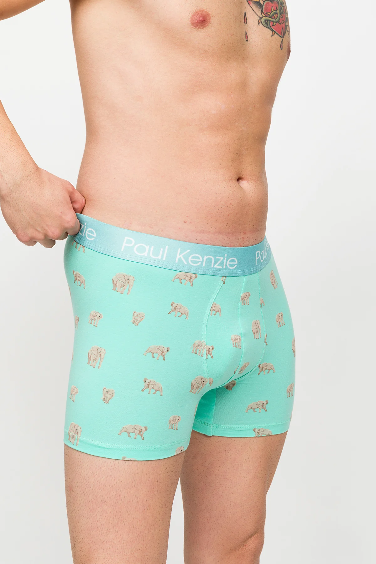 Desenli Erkek Boxer – Eco Characters – Elephantastic - Image 5