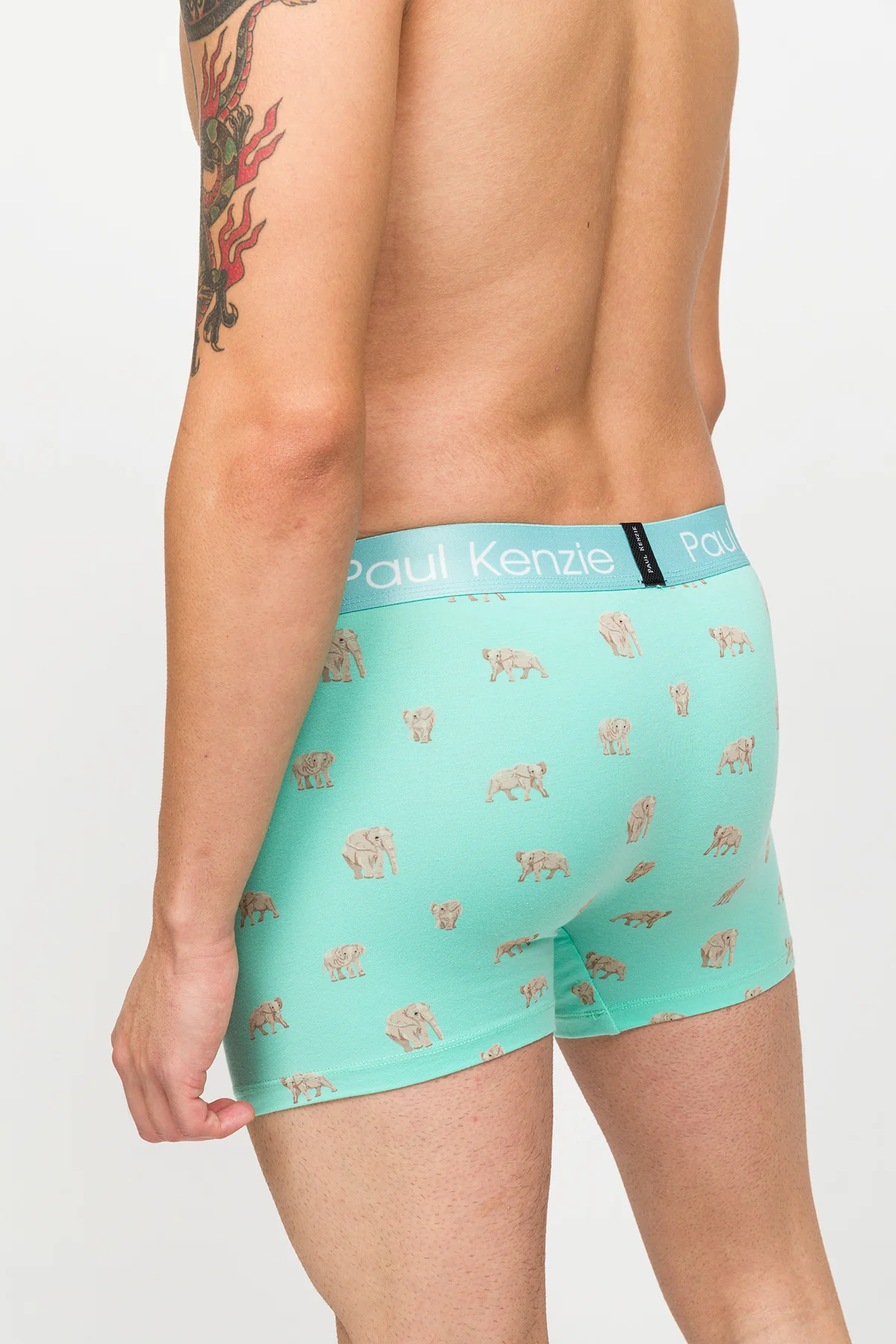 Desenli Erkek Boxer – Eco Characters – Elephantastic - Image 6