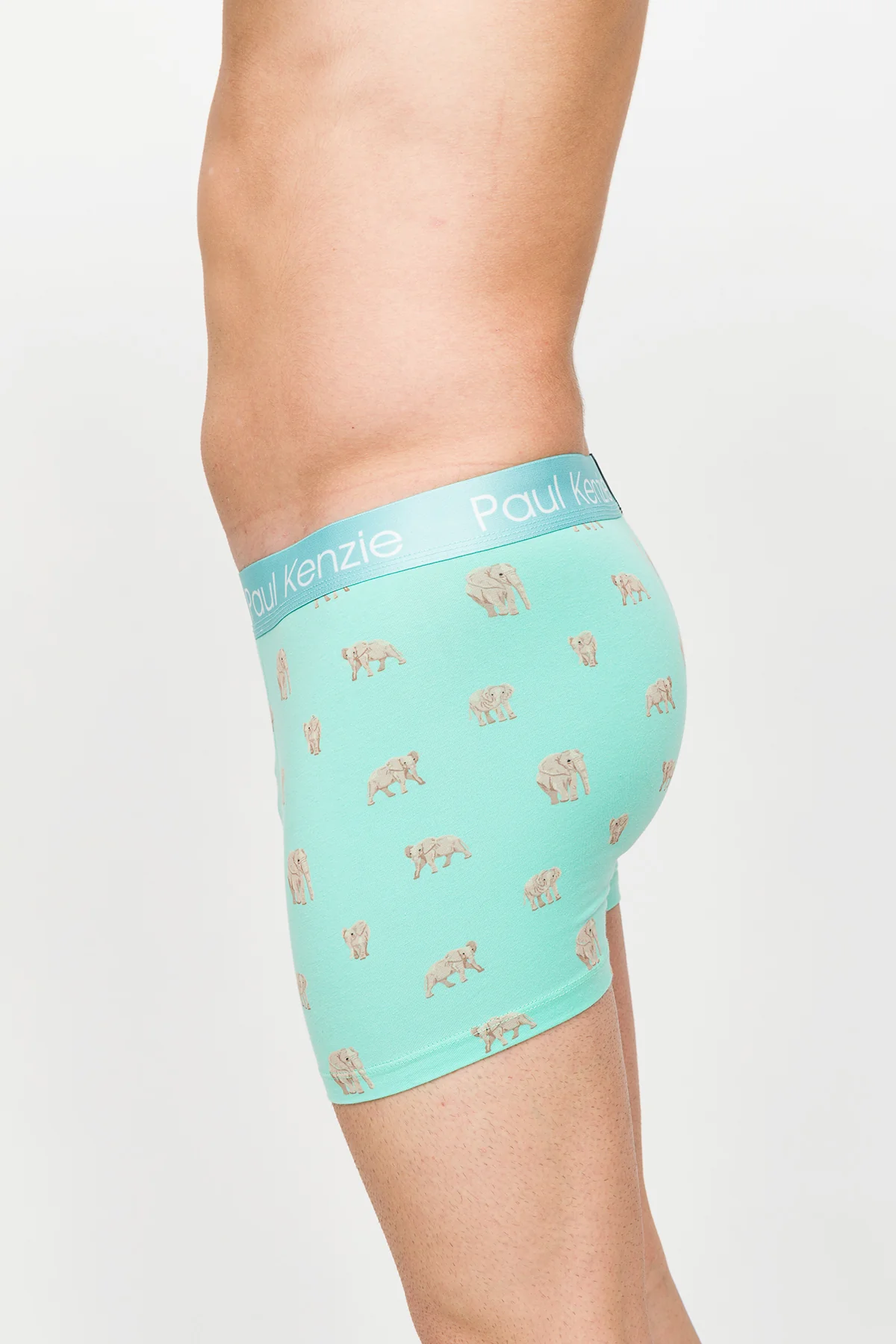 Desenli Erkek Boxer – Eco Characters – Elephantastic - Image 7