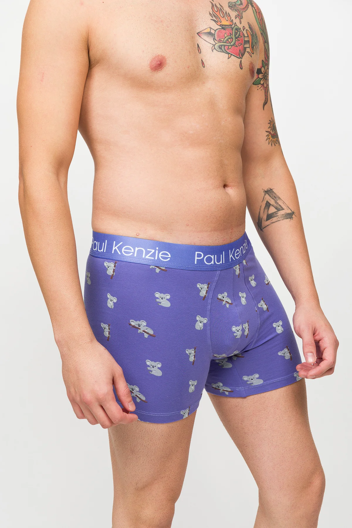 Desenli Erkek Boxer – Eco Characters – Koala - Image 6