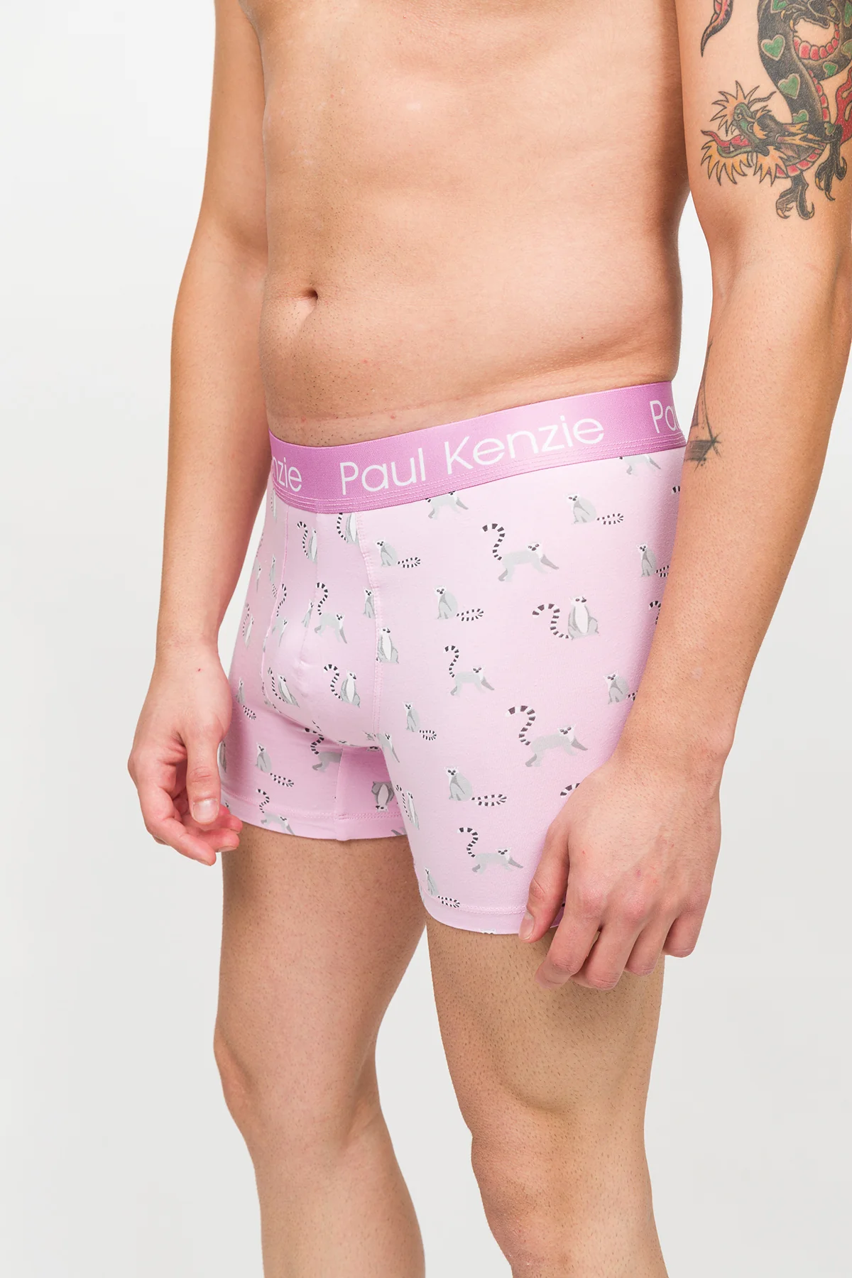 Desenli Erkek Boxer – Eco Characters – Lemur - Image 5