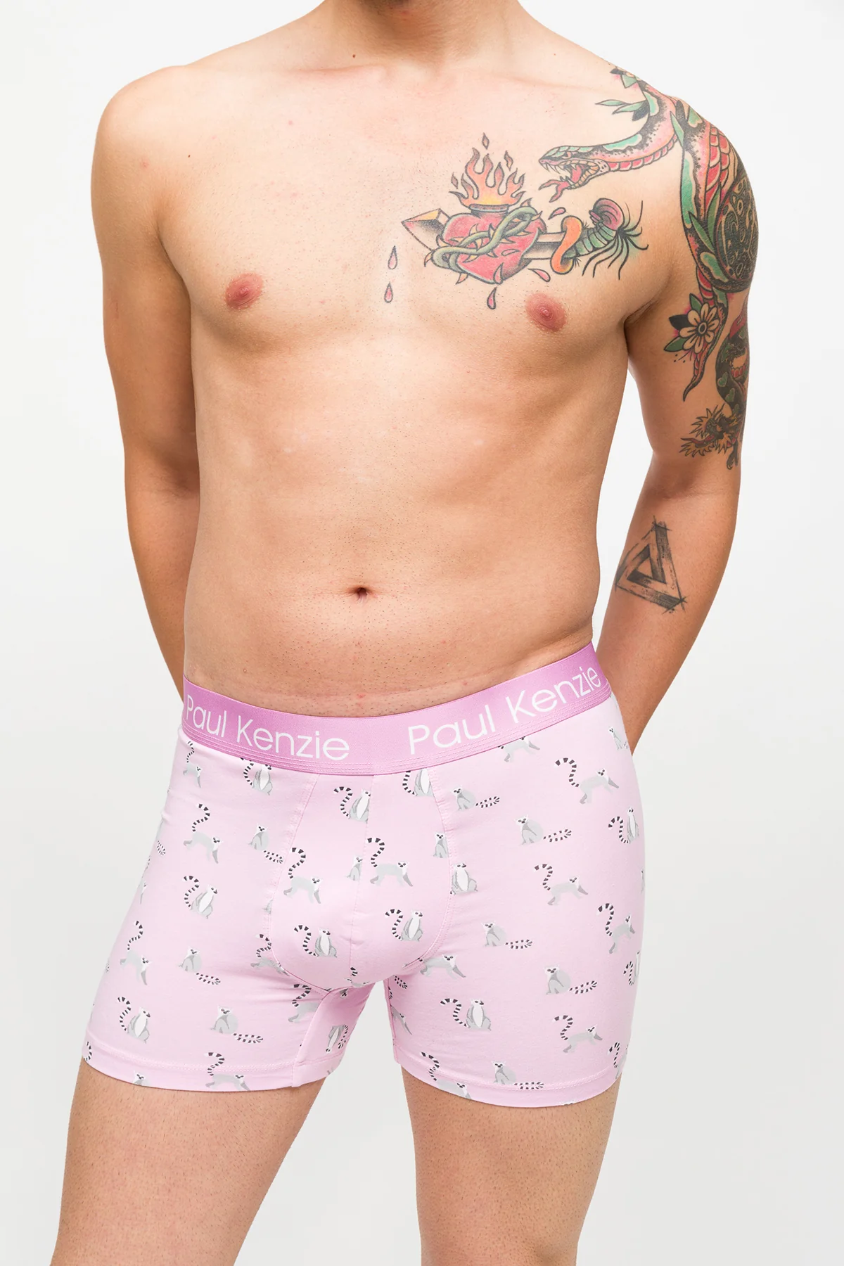 Desenli Erkek Boxer – Eco Characters – Lemur - Image 6