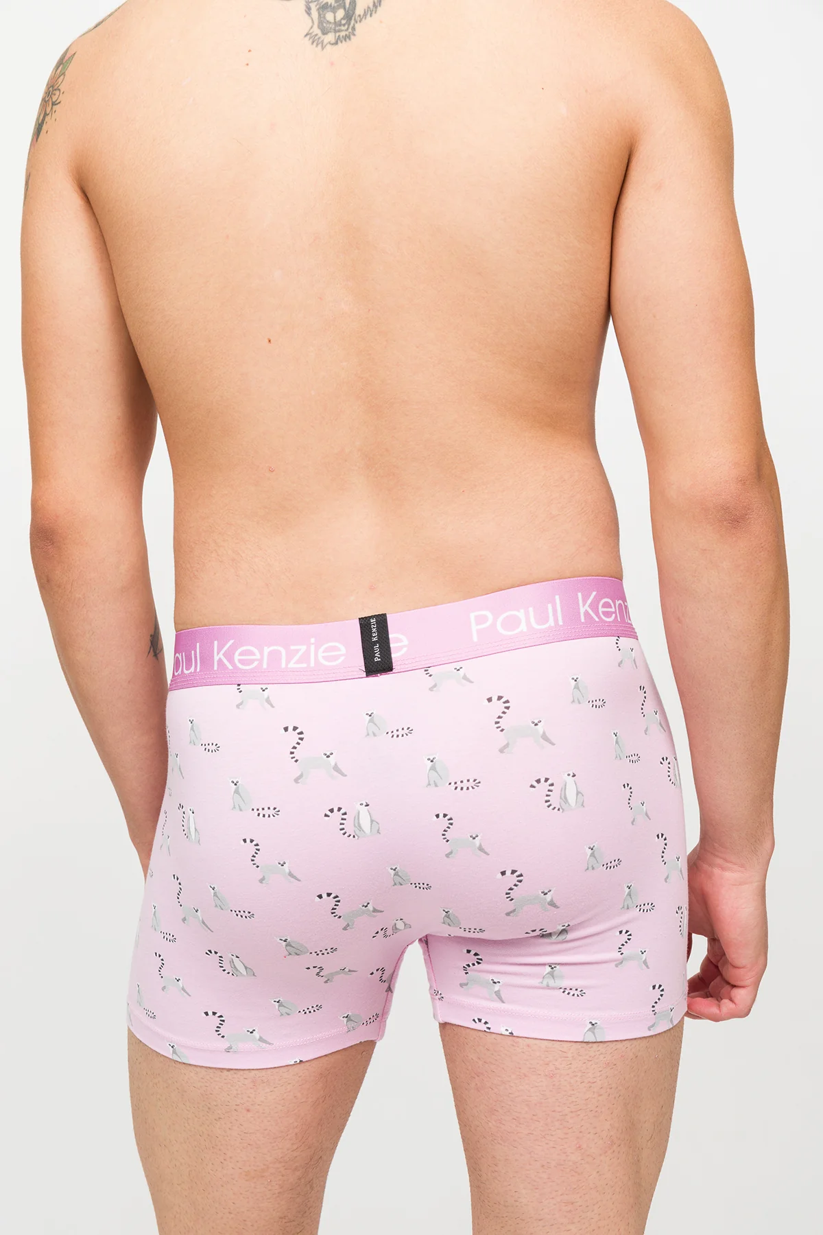 Desenli Erkek Boxer – Eco Characters – Lemur - Image 7