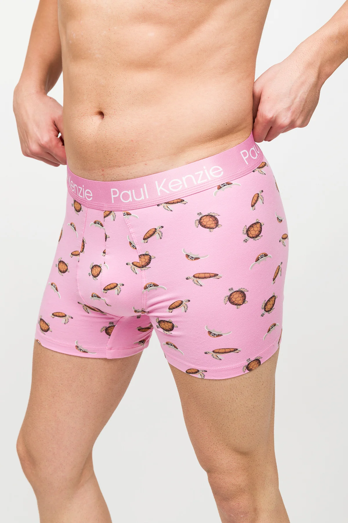 Desenli Erkek Boxer – Eco Characters – Turtley - Image 5