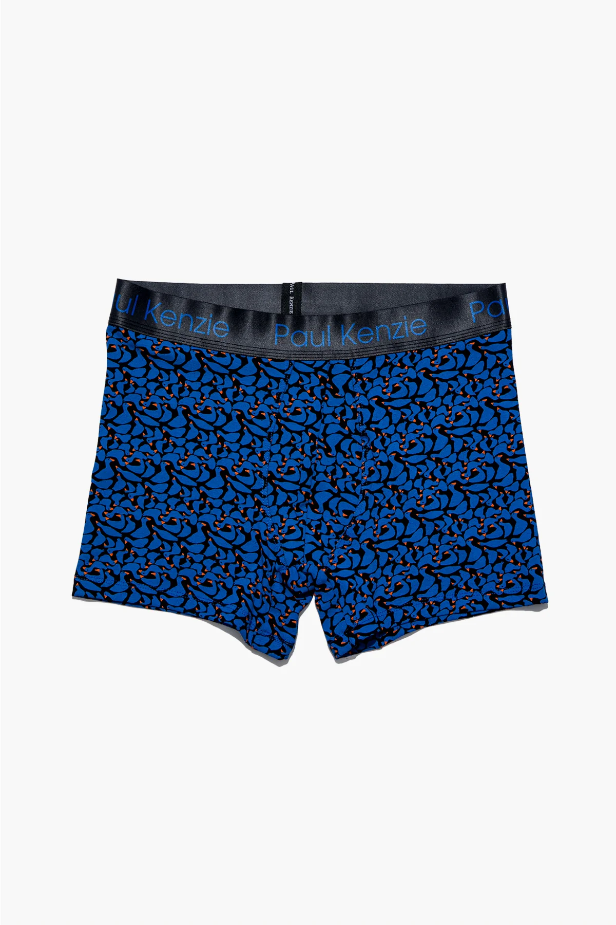 Desenli Erkek Boxer - Goose