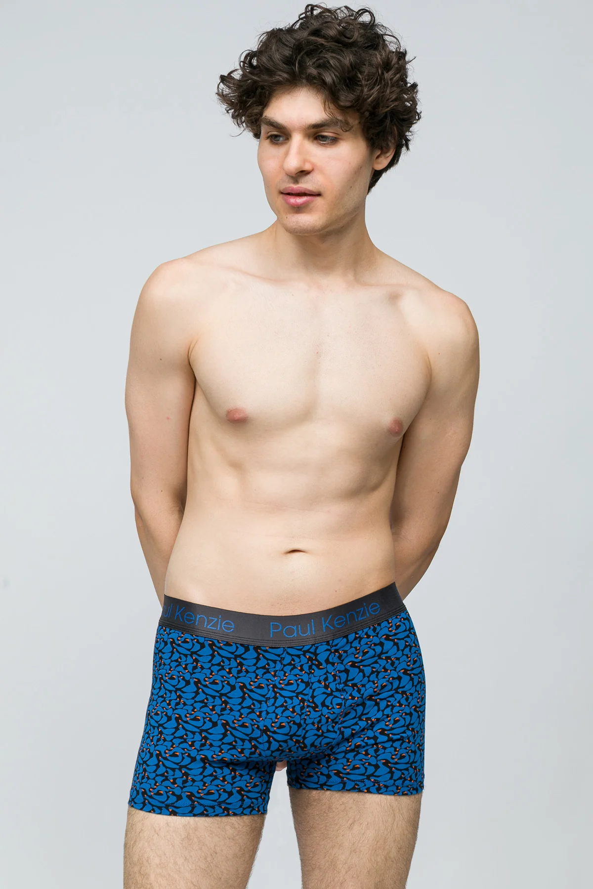 Desenli Erkek Boxer - Goose - Image 4
