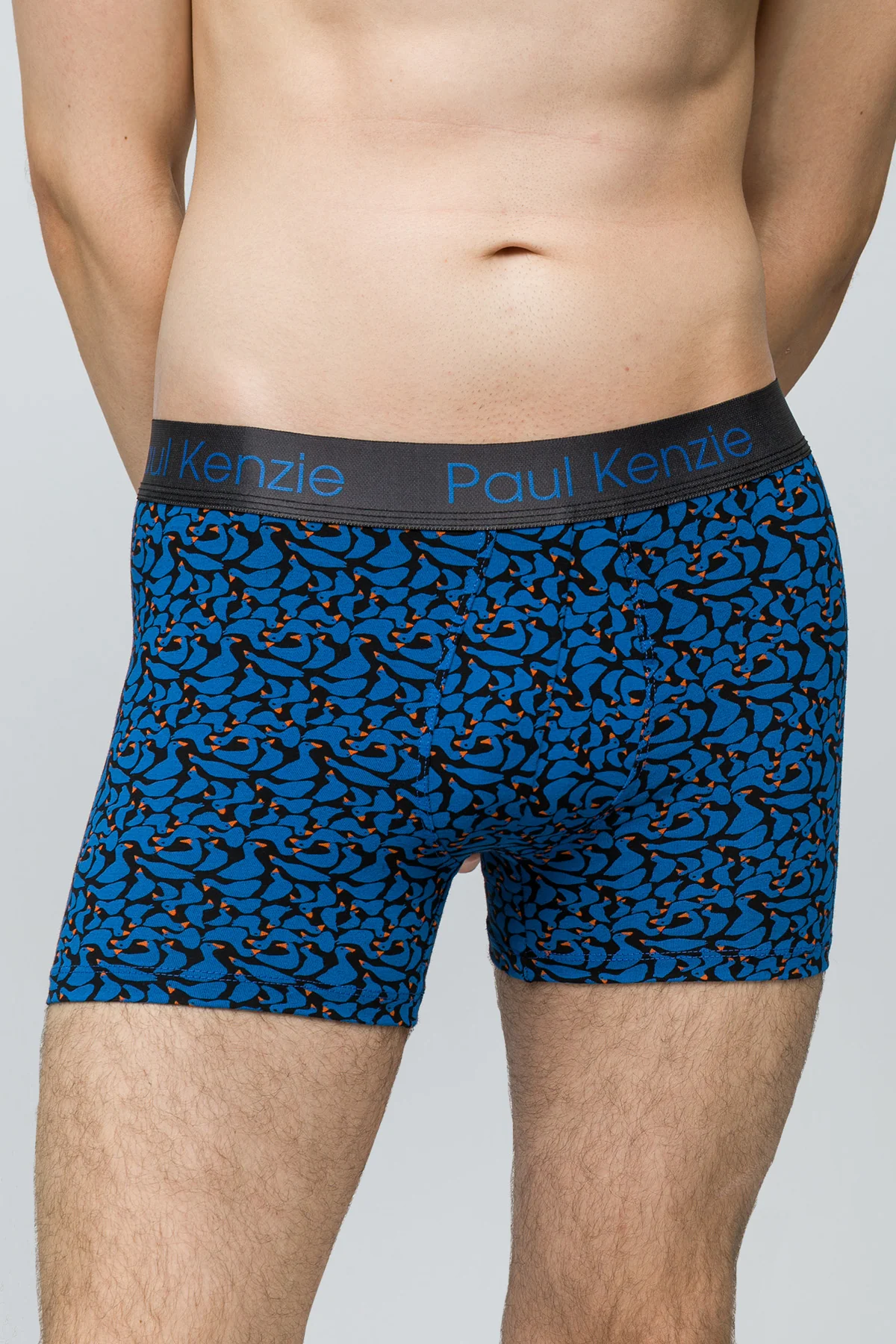 Desenli Erkek Boxer - Goose - Image 5