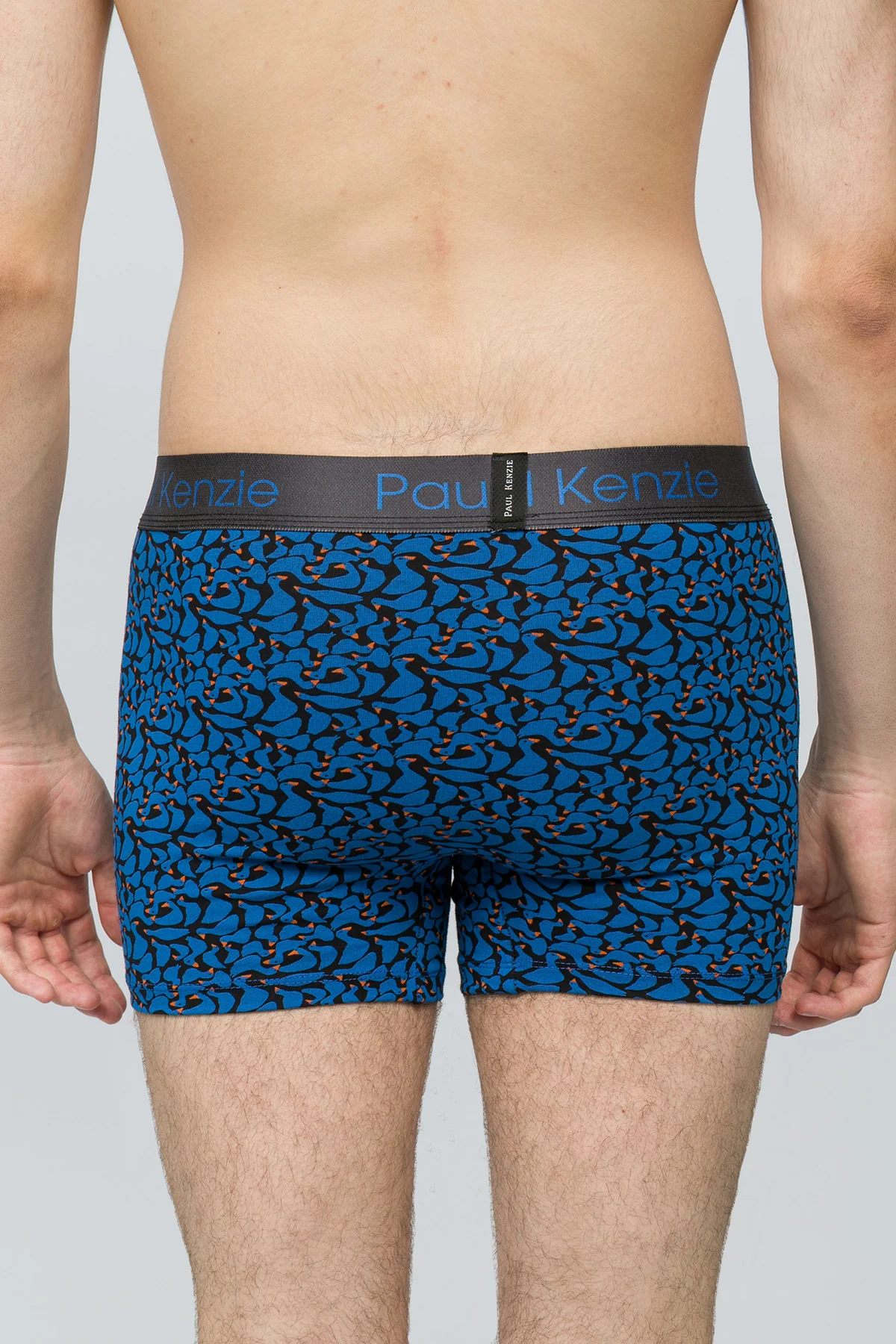 Desenli Erkek Boxer - Goose - Image 6