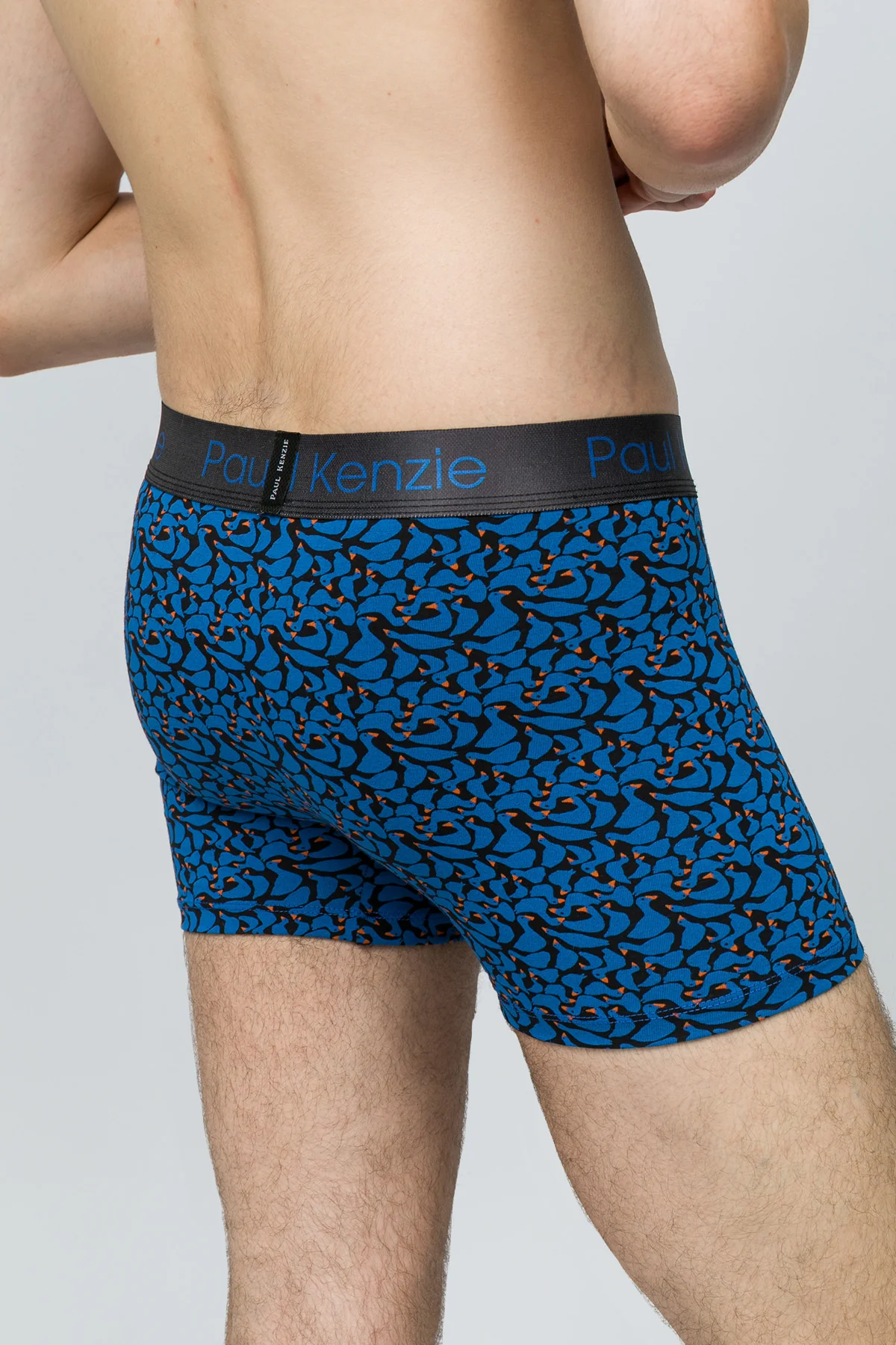 Desenli Erkek Boxer - Goose - Image 7