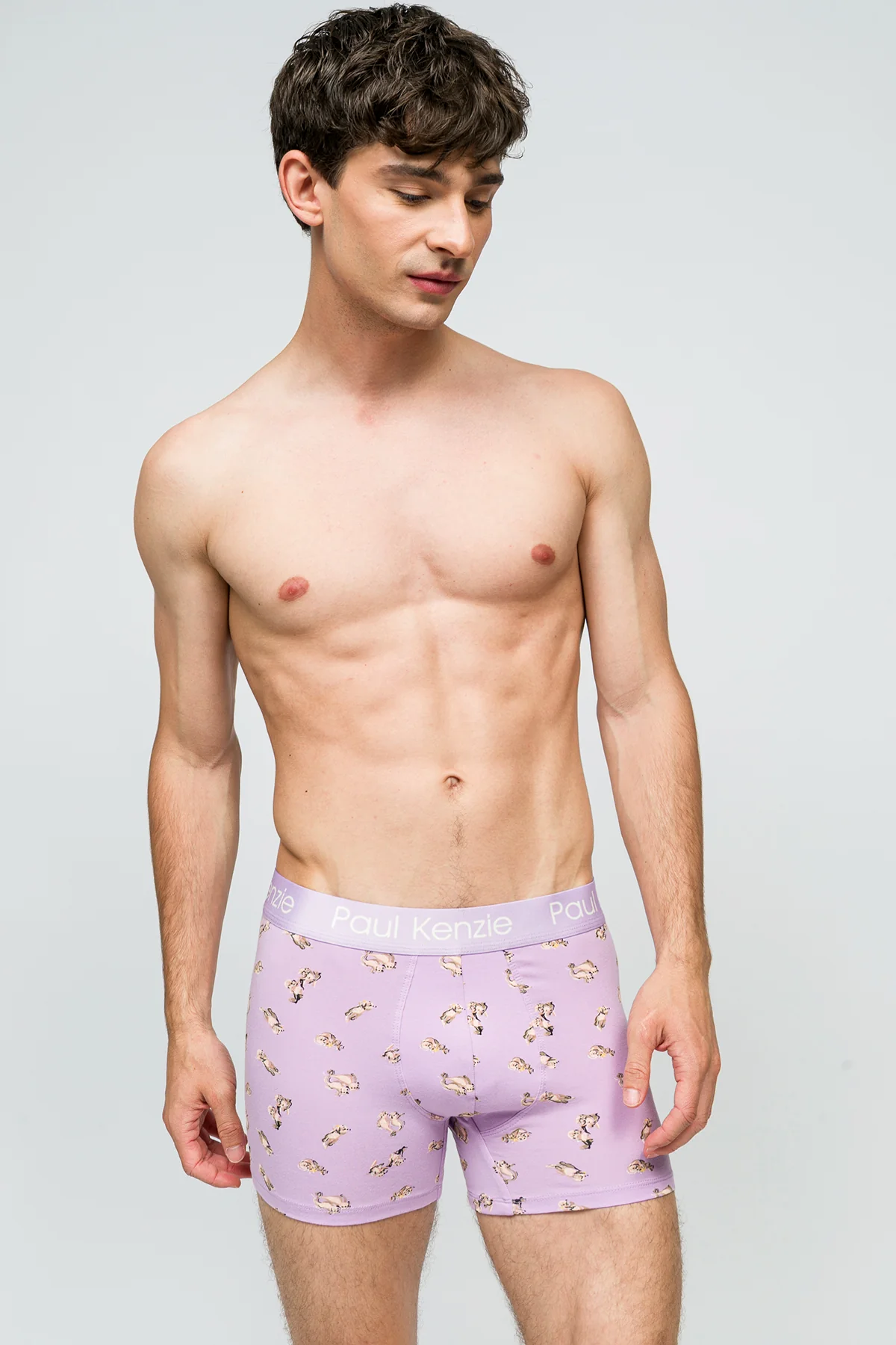 Desenli Erkek Boxer - Otter - Image 4