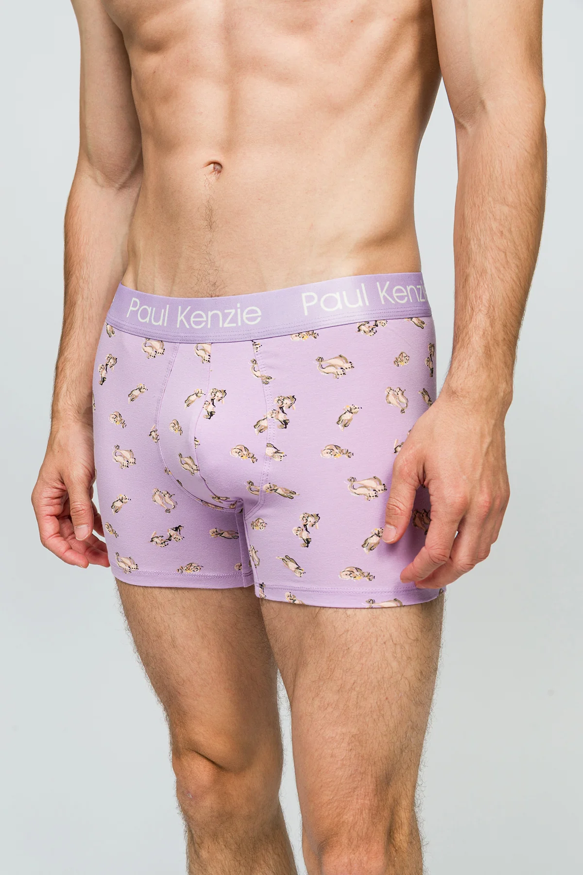 Desenli Erkek Boxer - Otter - Image 5