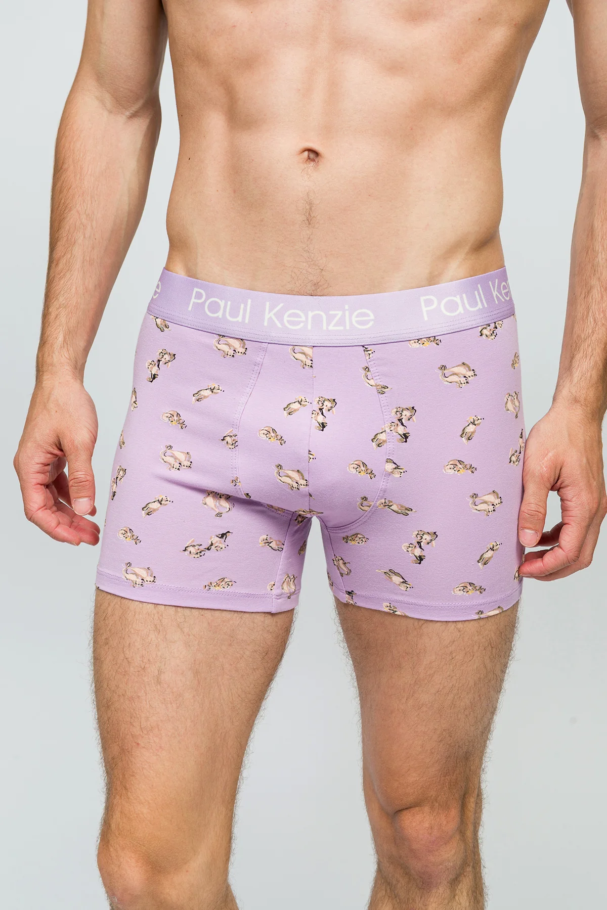 Desenli Erkek Boxer - Otter - Image 6