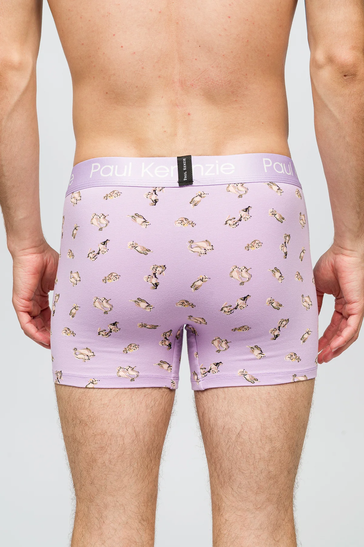 Desenli Erkek Boxer - Otter - Image 7