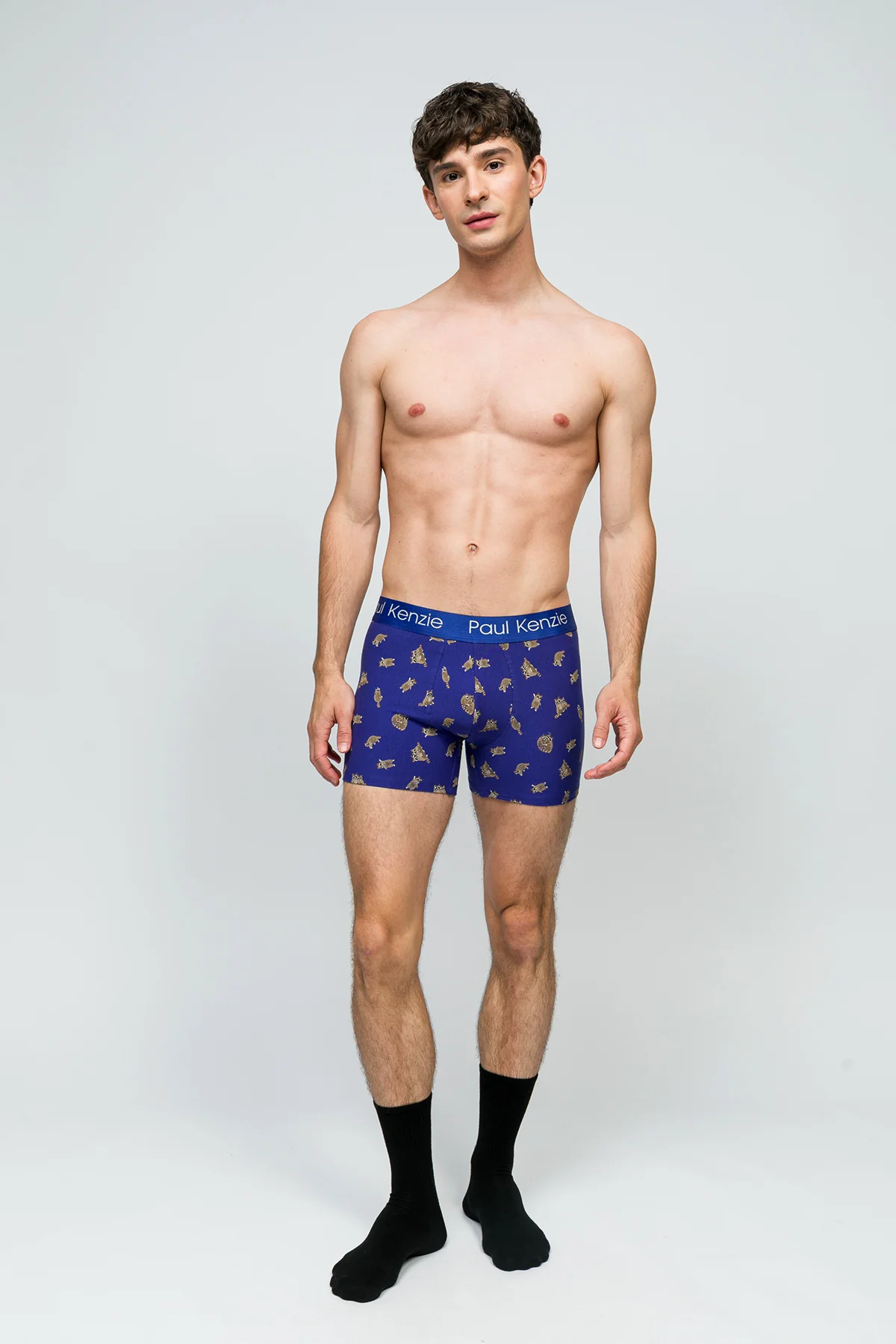 Desenli Erkek Boxer - Rakun - Image 3