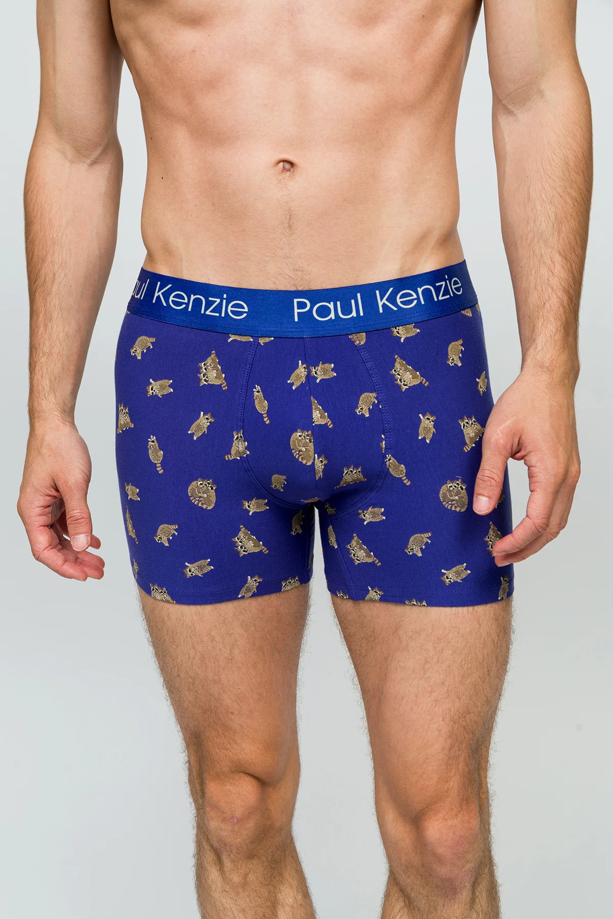 Desenli Erkek Boxer - Rakun - Image 5