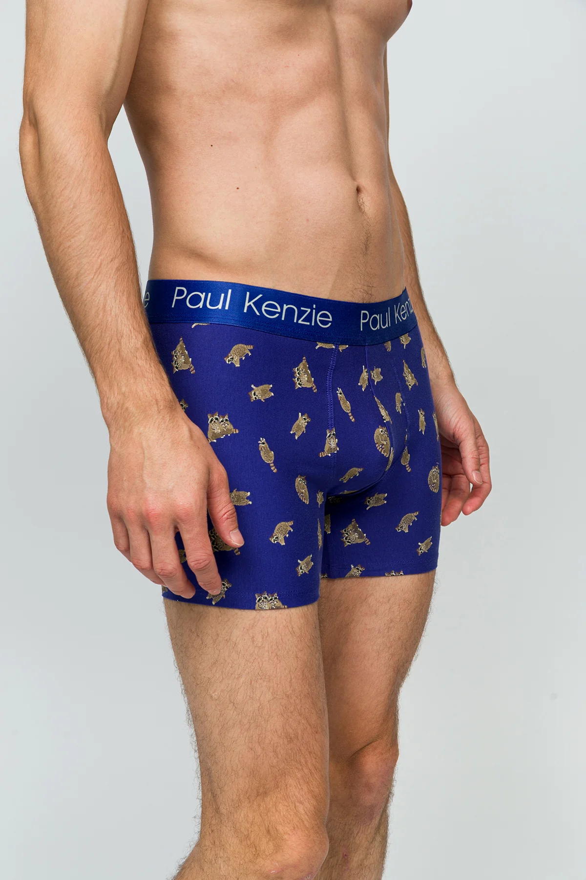 Desenli Erkek Boxer - Rakun - Image 6