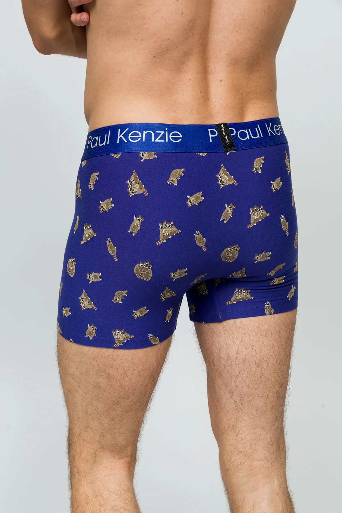 Desenli Erkek Boxer - Rakun - Image 7