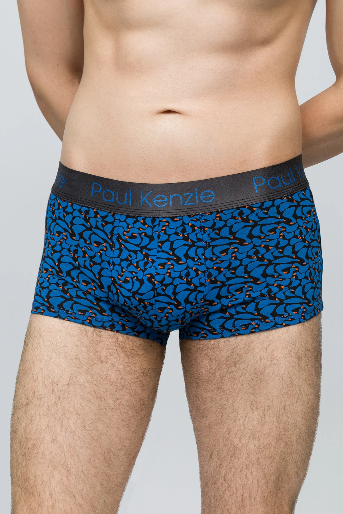 Desenli Erkek Trunk Boxer - Goose - Image 5