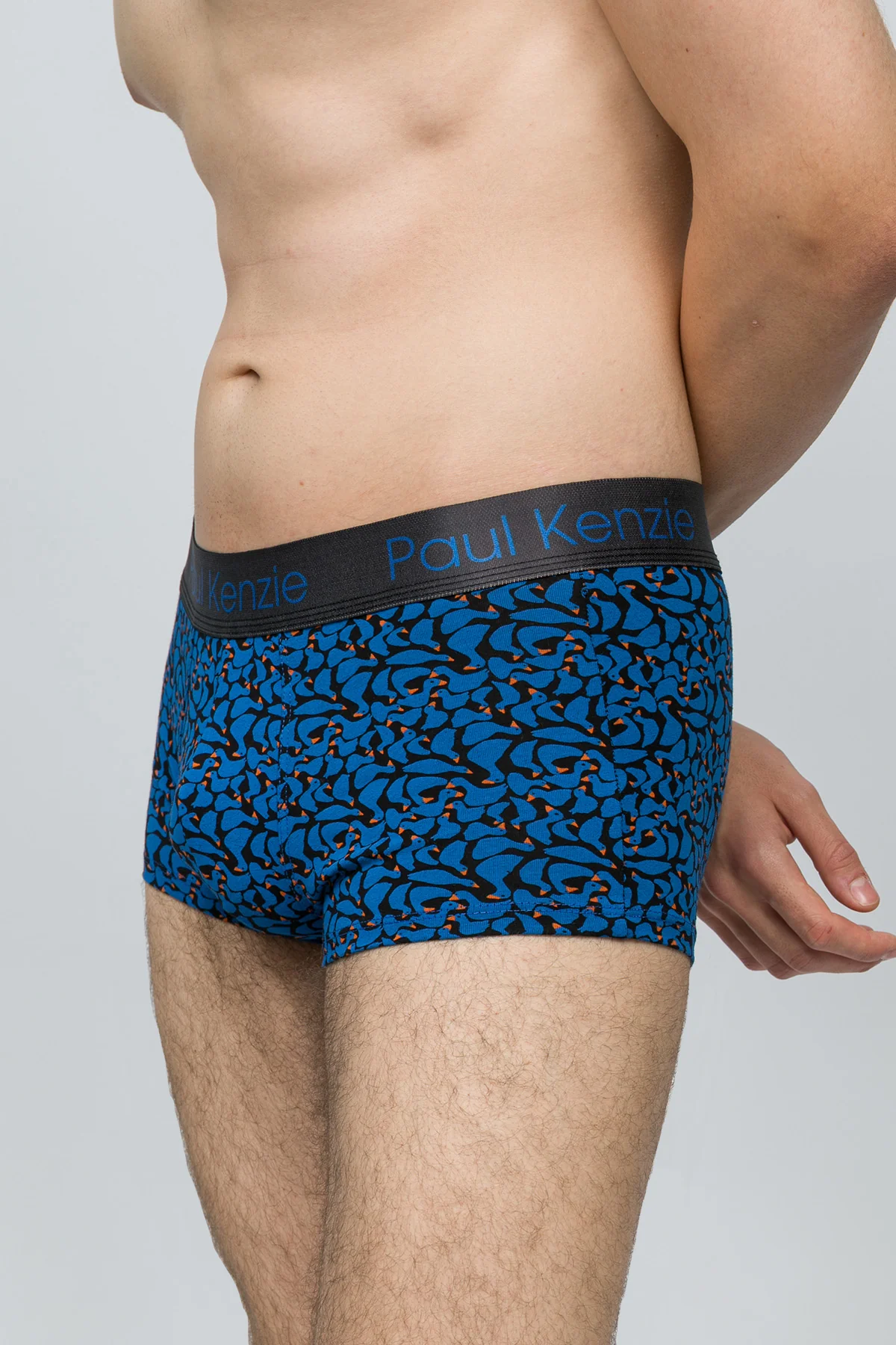 Desenli Erkek Trunk Boxer - Goose - Image 6