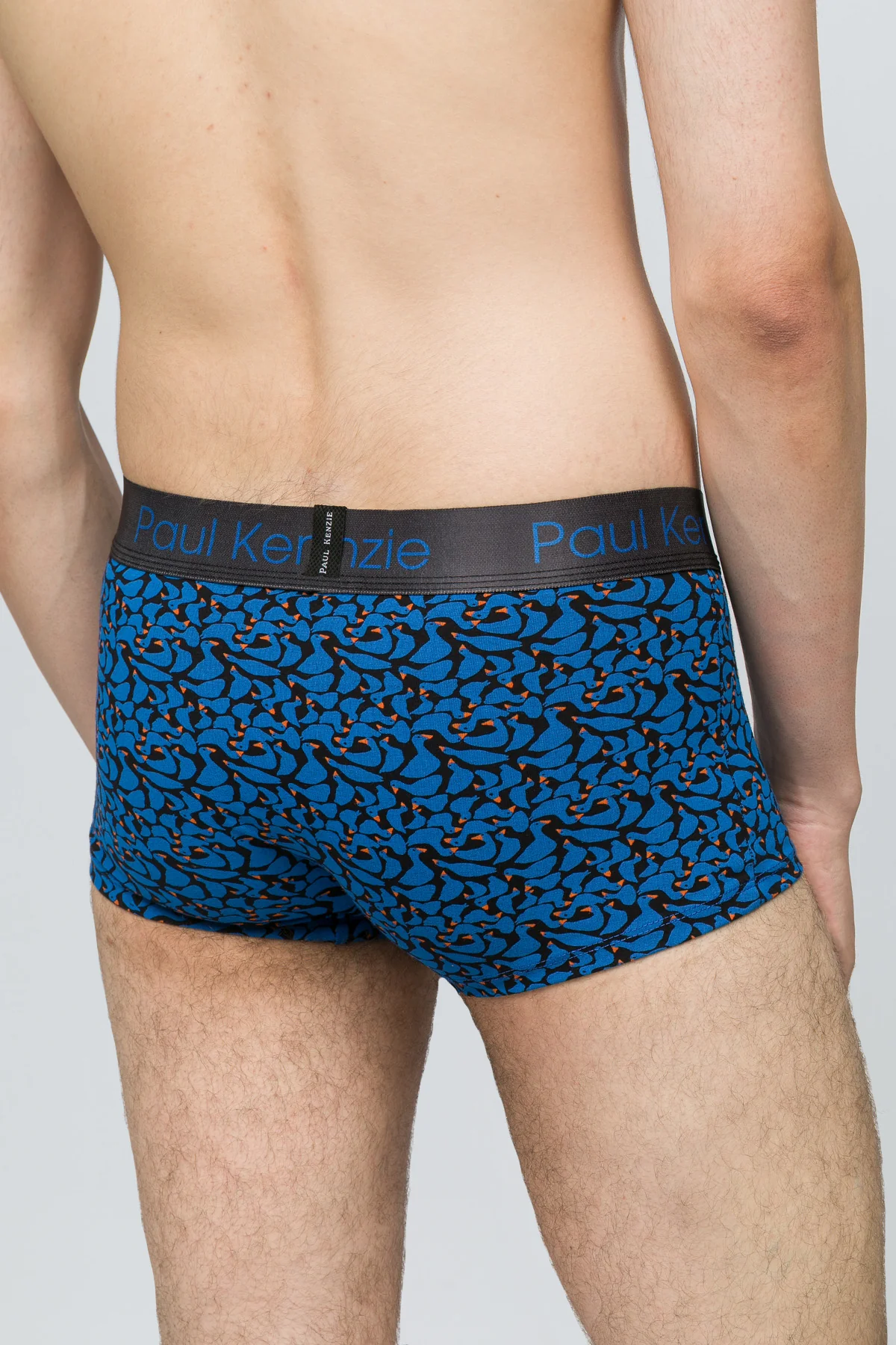 Desenli Erkek Trunk Boxer - Goose - Image 7