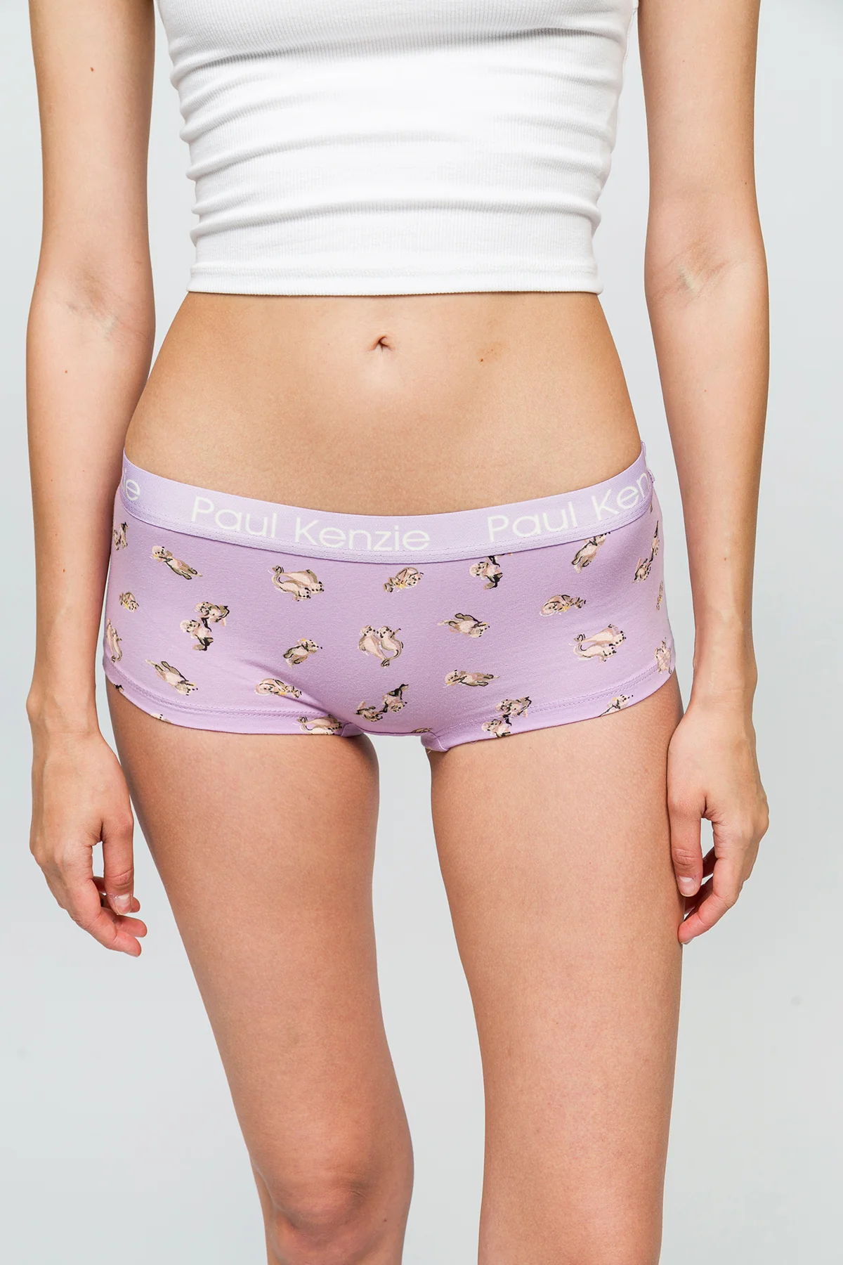 Desenli Kadın Boyshort Külot - Otter - Image 5