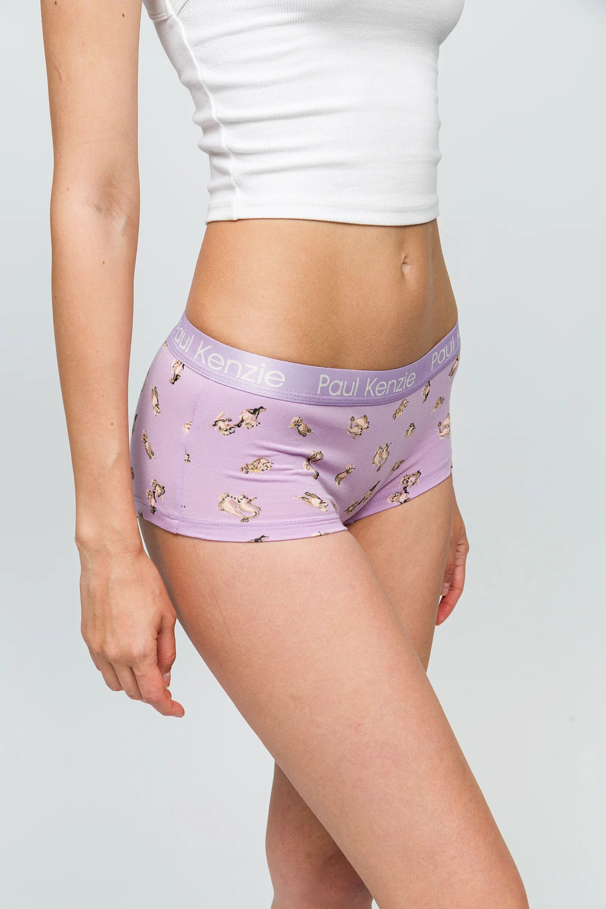 Desenli Kadın Boyshort Külot - Otter - Image 6