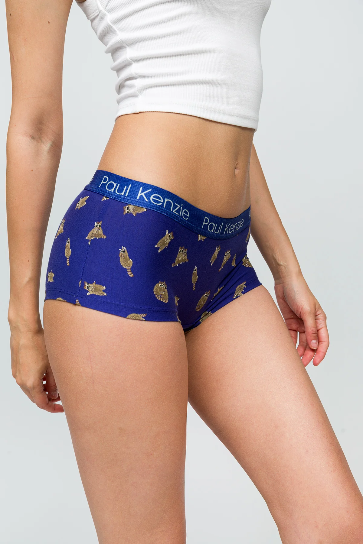 Desenli Kadın Boyshort Külot - Rakun - Image 5