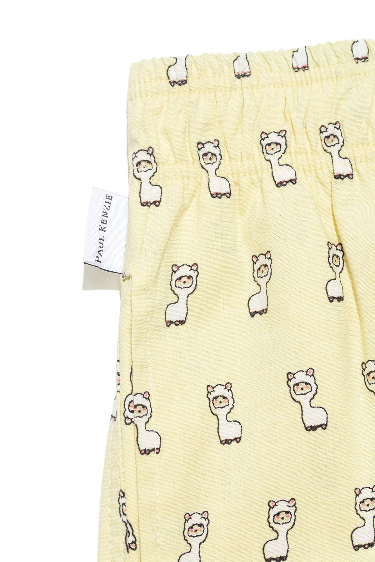 Desenli Kadın Ev Şort – Chill Space Collection – Lama - Image 6