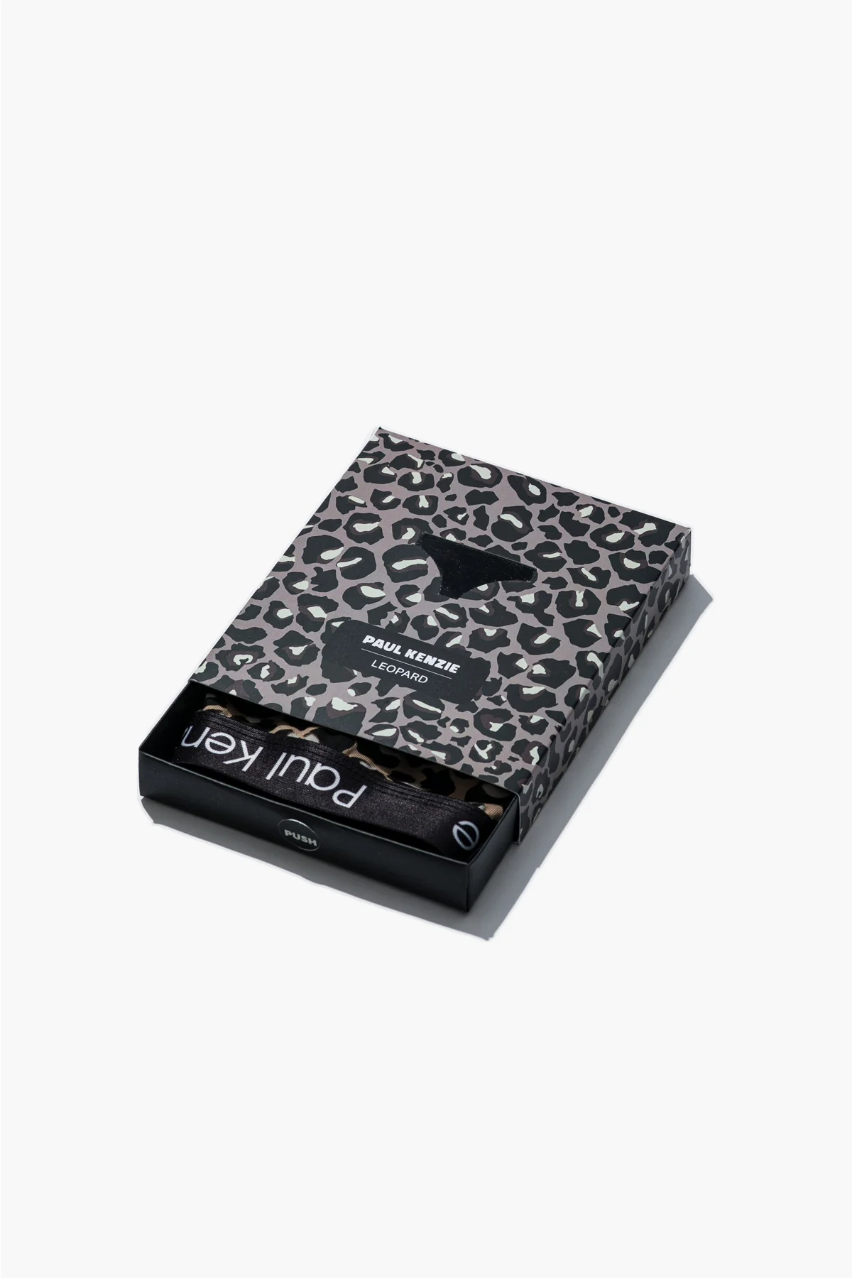 Desenli Kadın String Külot - Leopard - Image 2