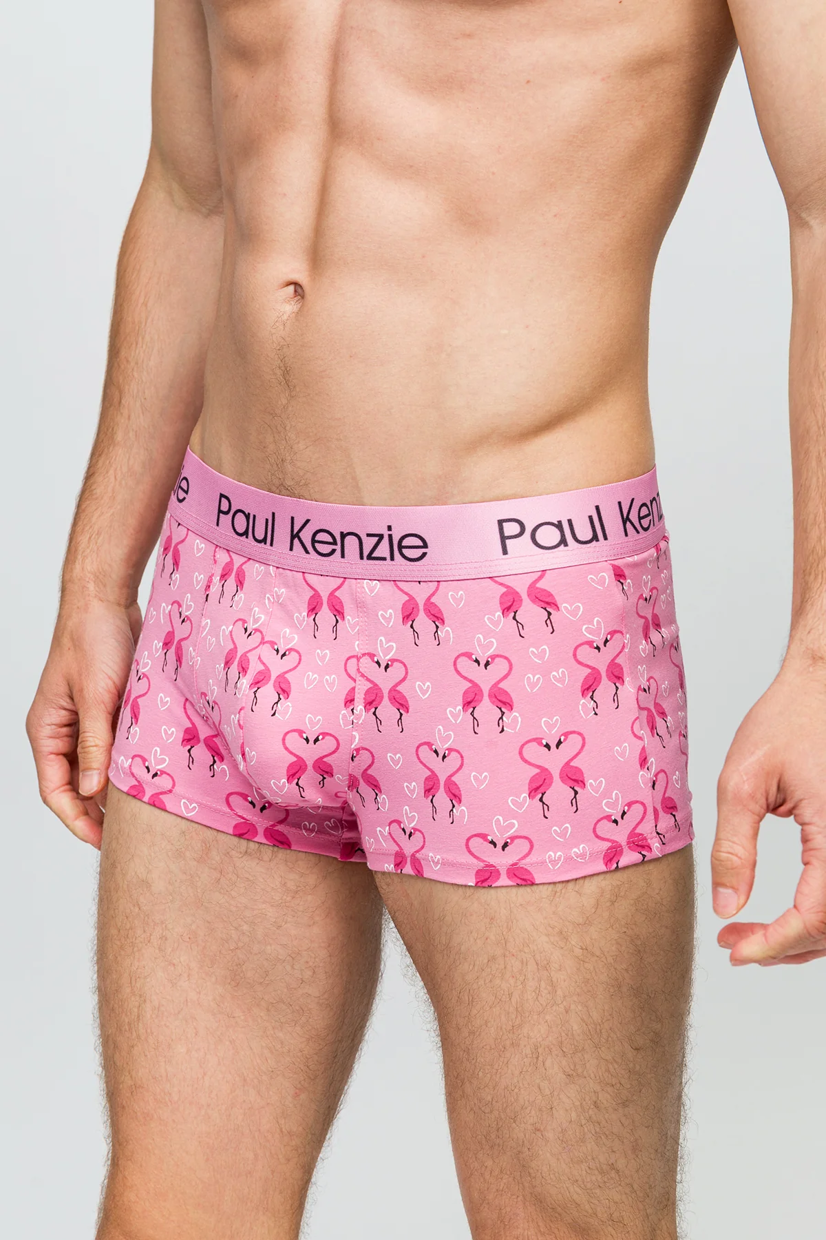 Erkek Trunk Boxer - Flovemingo - Image 5