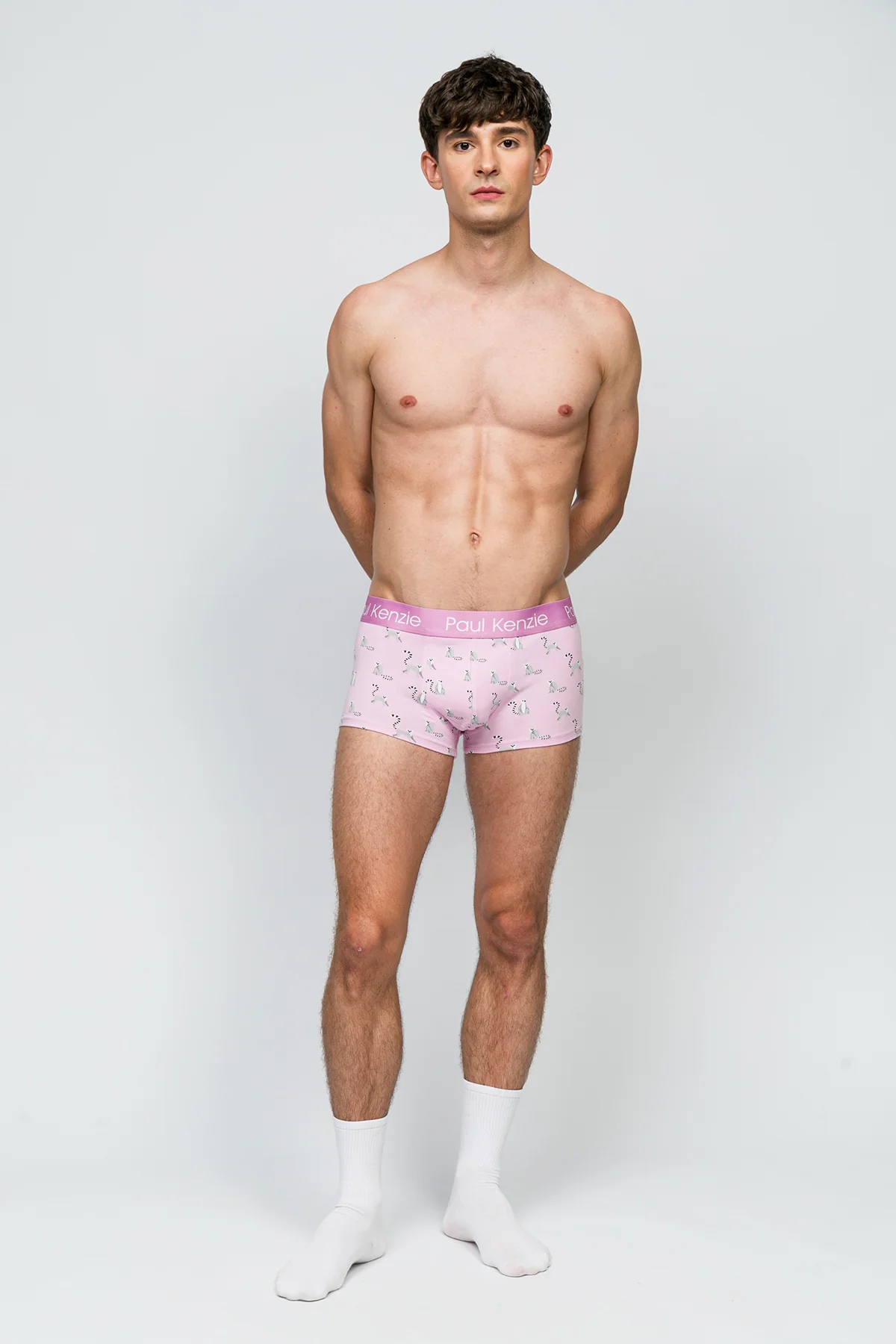 Erkek Trunk Boxer - Lemur - Image 3
