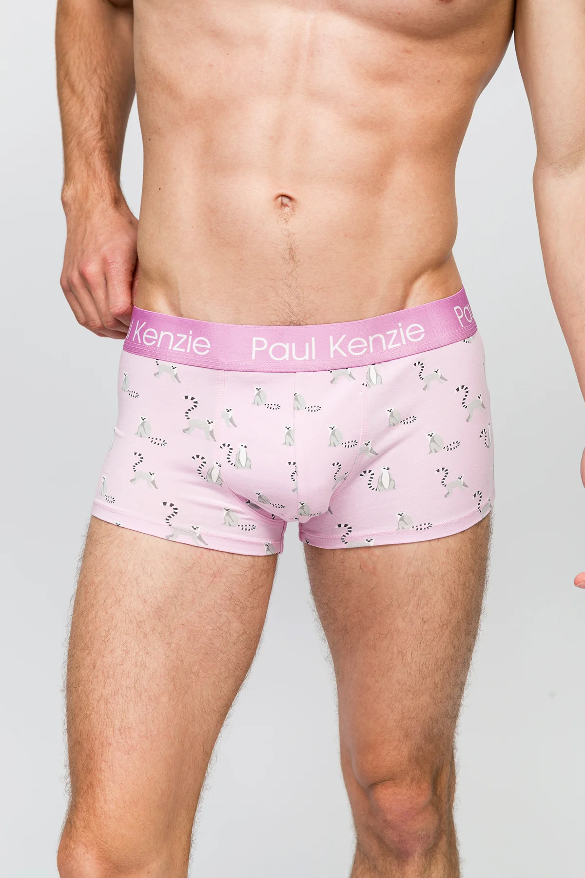 Erkek Trunk Boxer - Lemur - Image 5