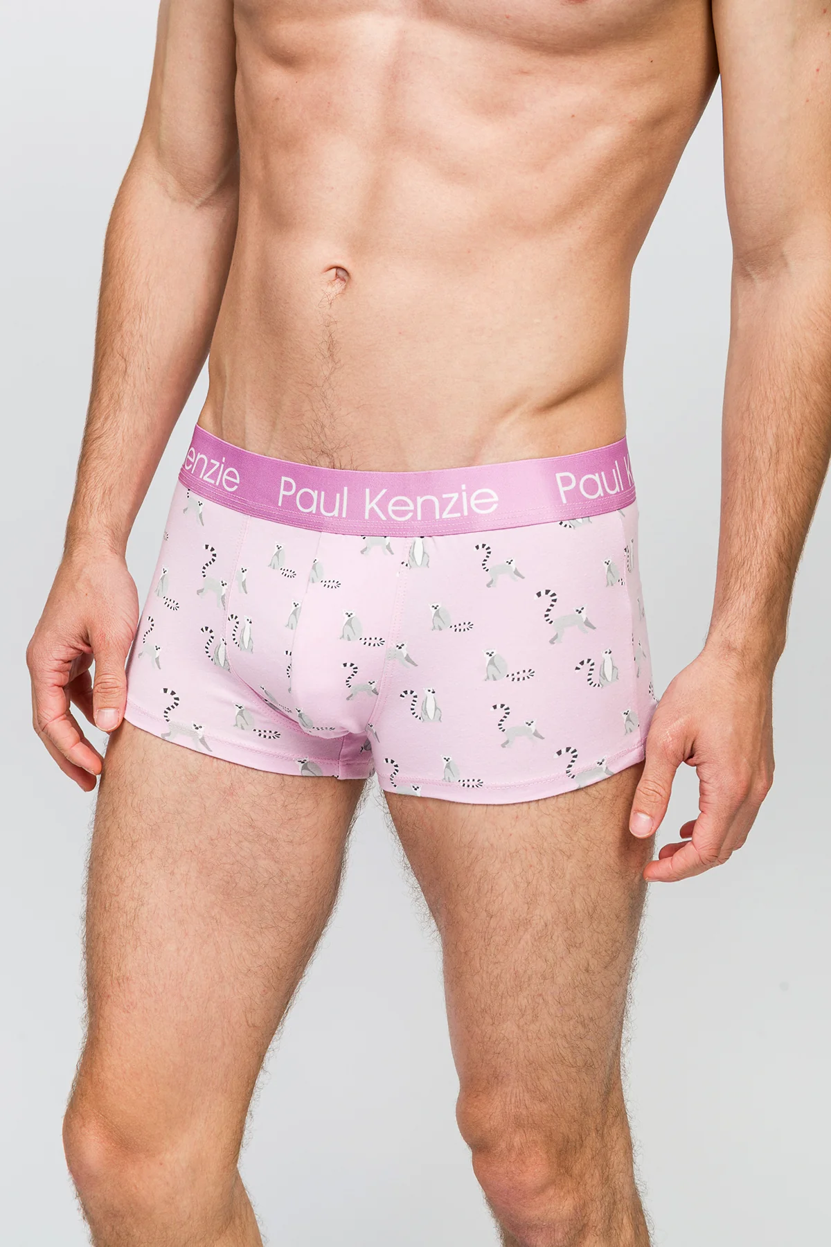 Erkek Trunk Boxer - Lemur - Image 6