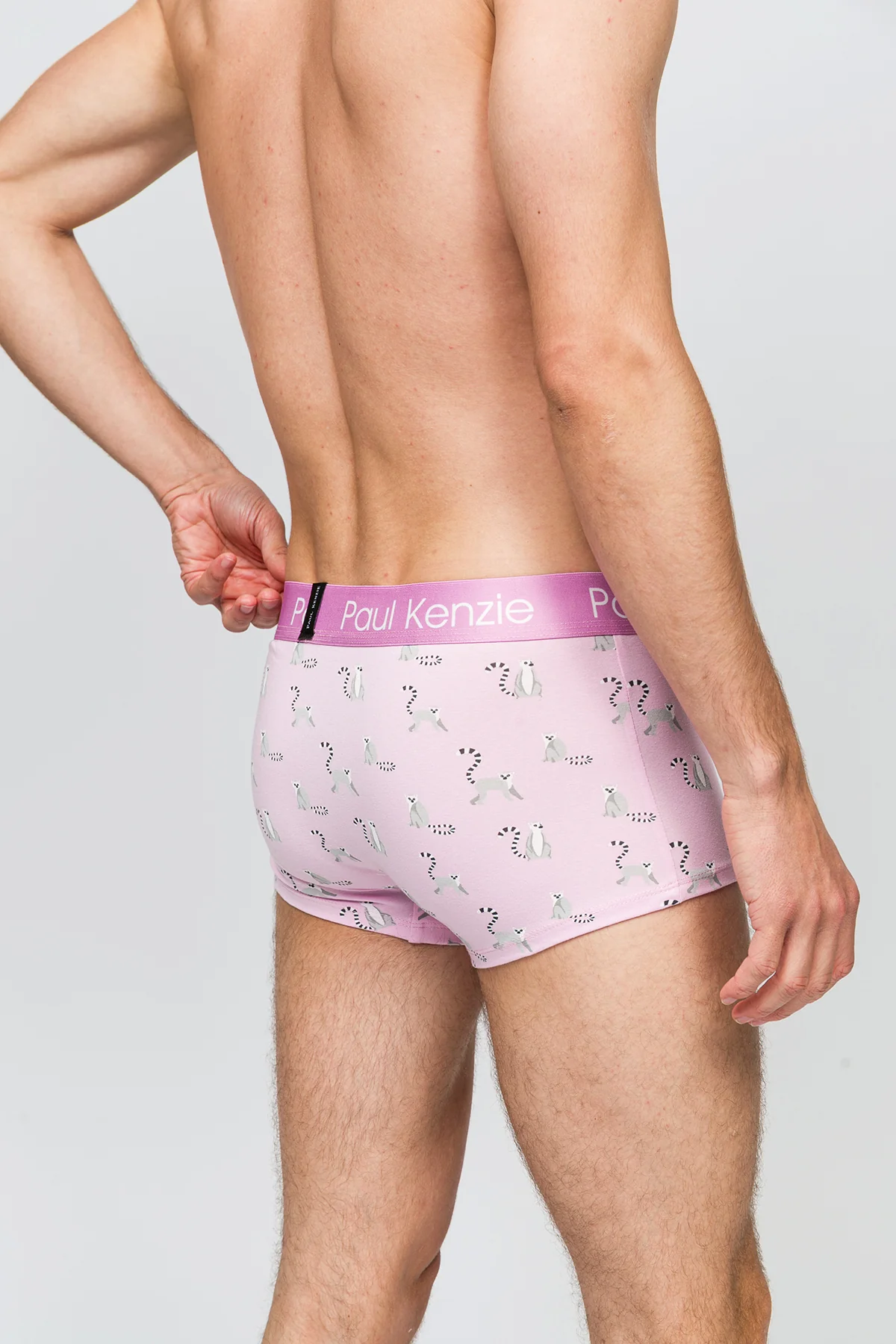 Erkek Trunk Boxer - Lemur - Image 7