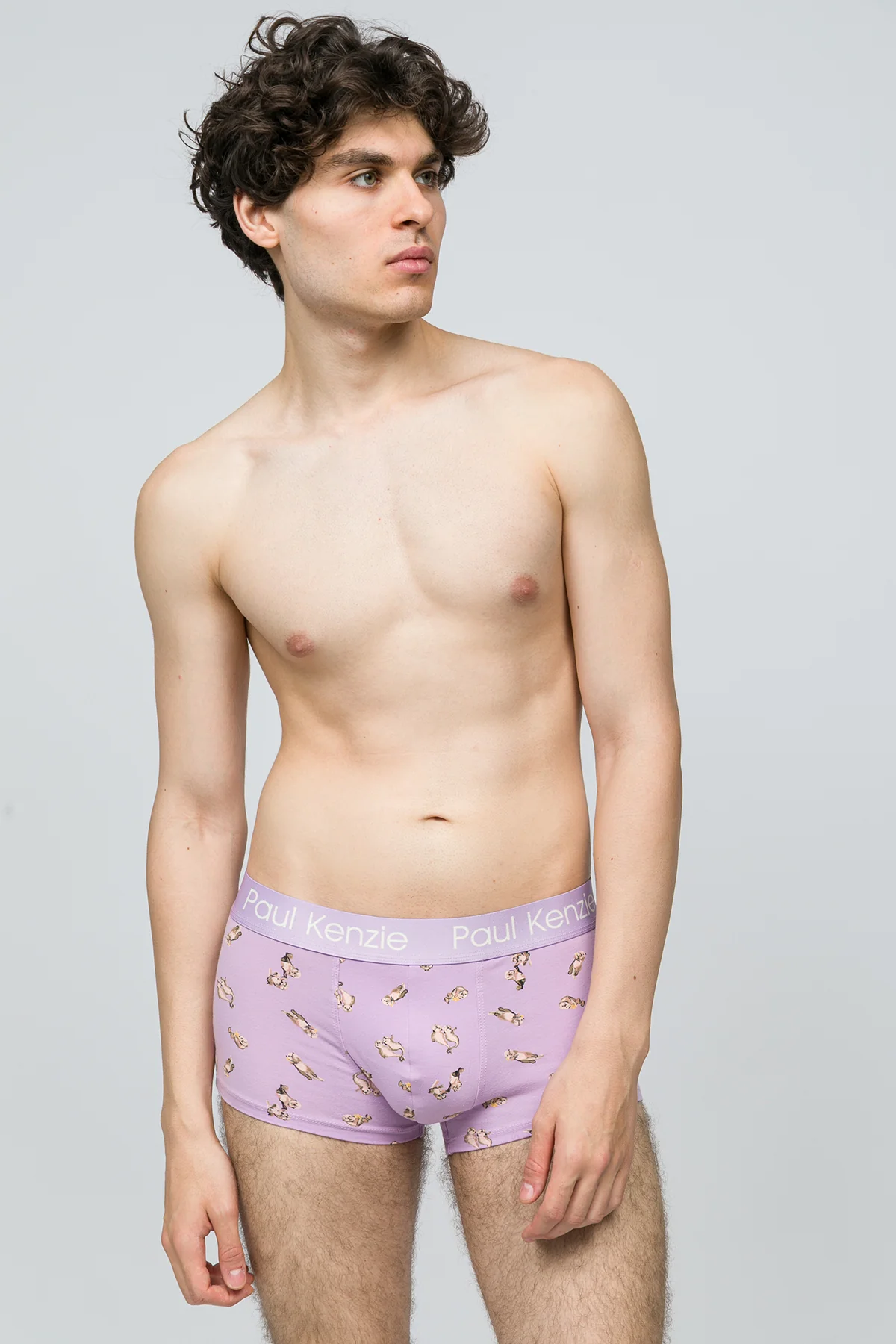 Erkek Trunk Boxer - Otter - Image 4