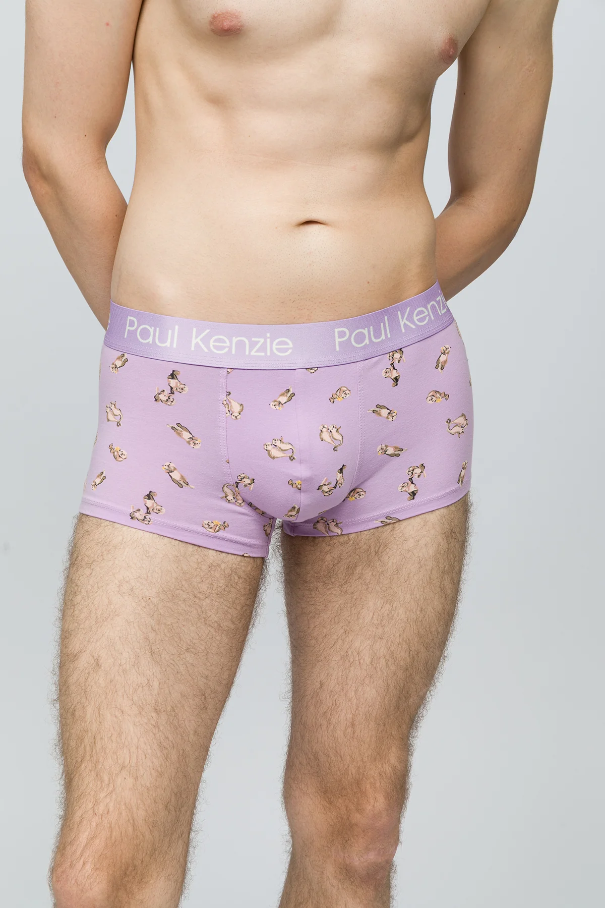 Erkek Trunk Boxer - Otter - Image 5
