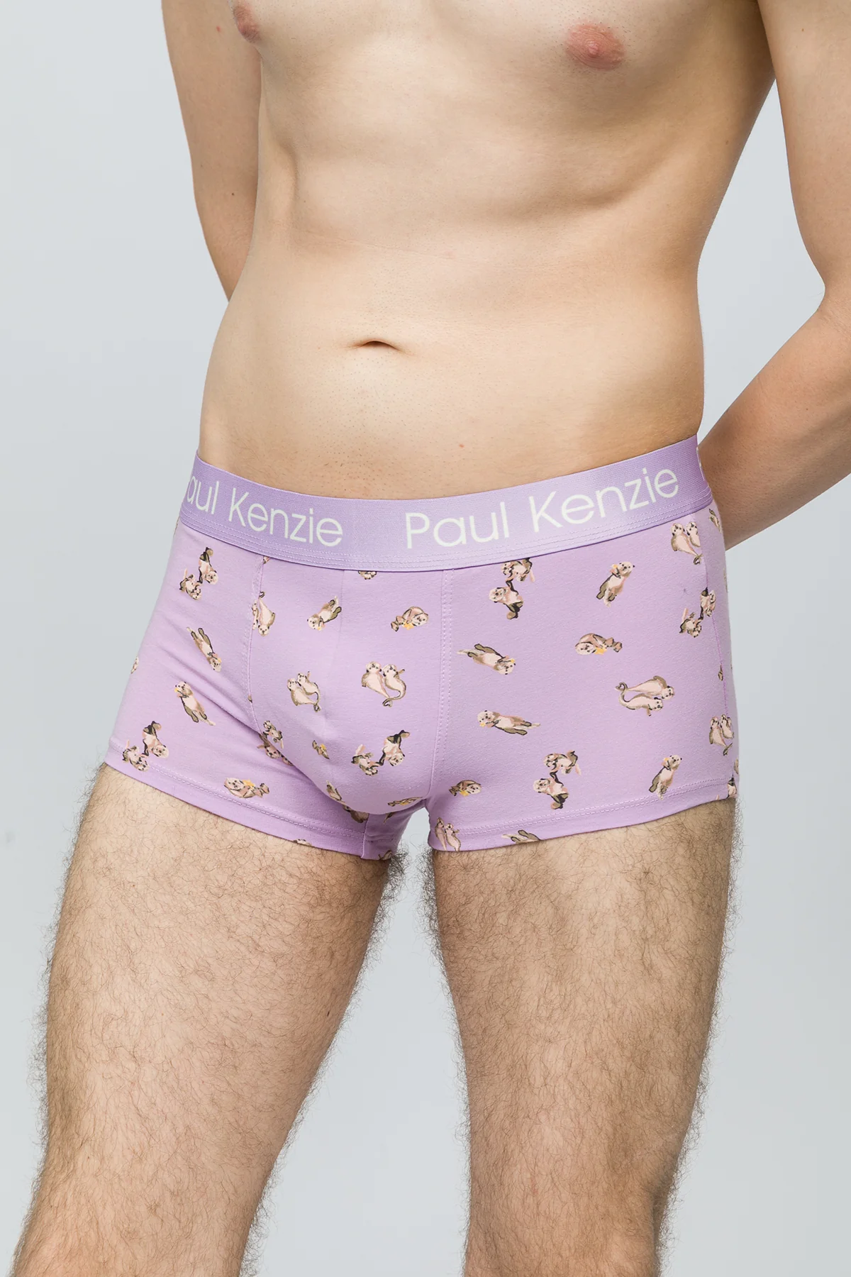Erkek Trunk Boxer - Otter - Image 6