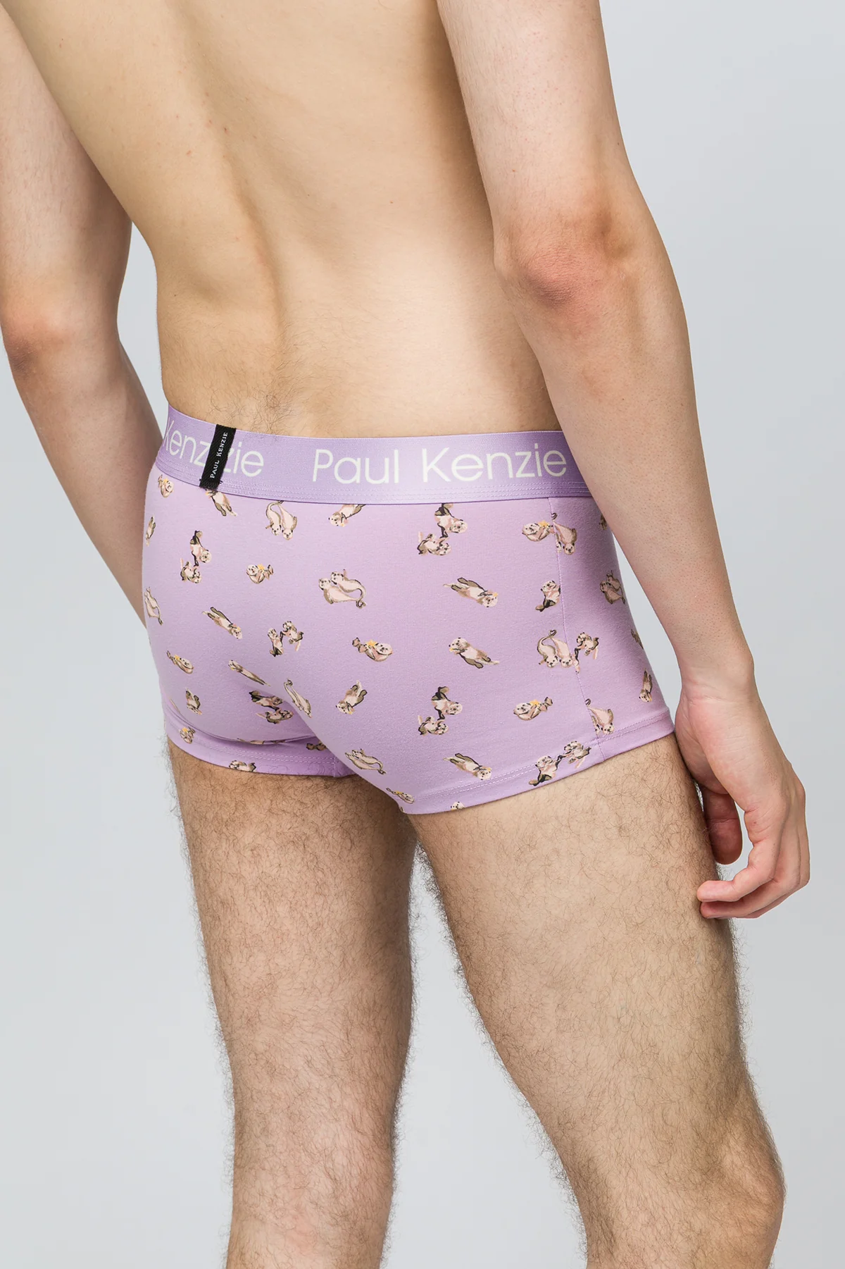 Erkek Trunk Boxer - Otter - Image 7