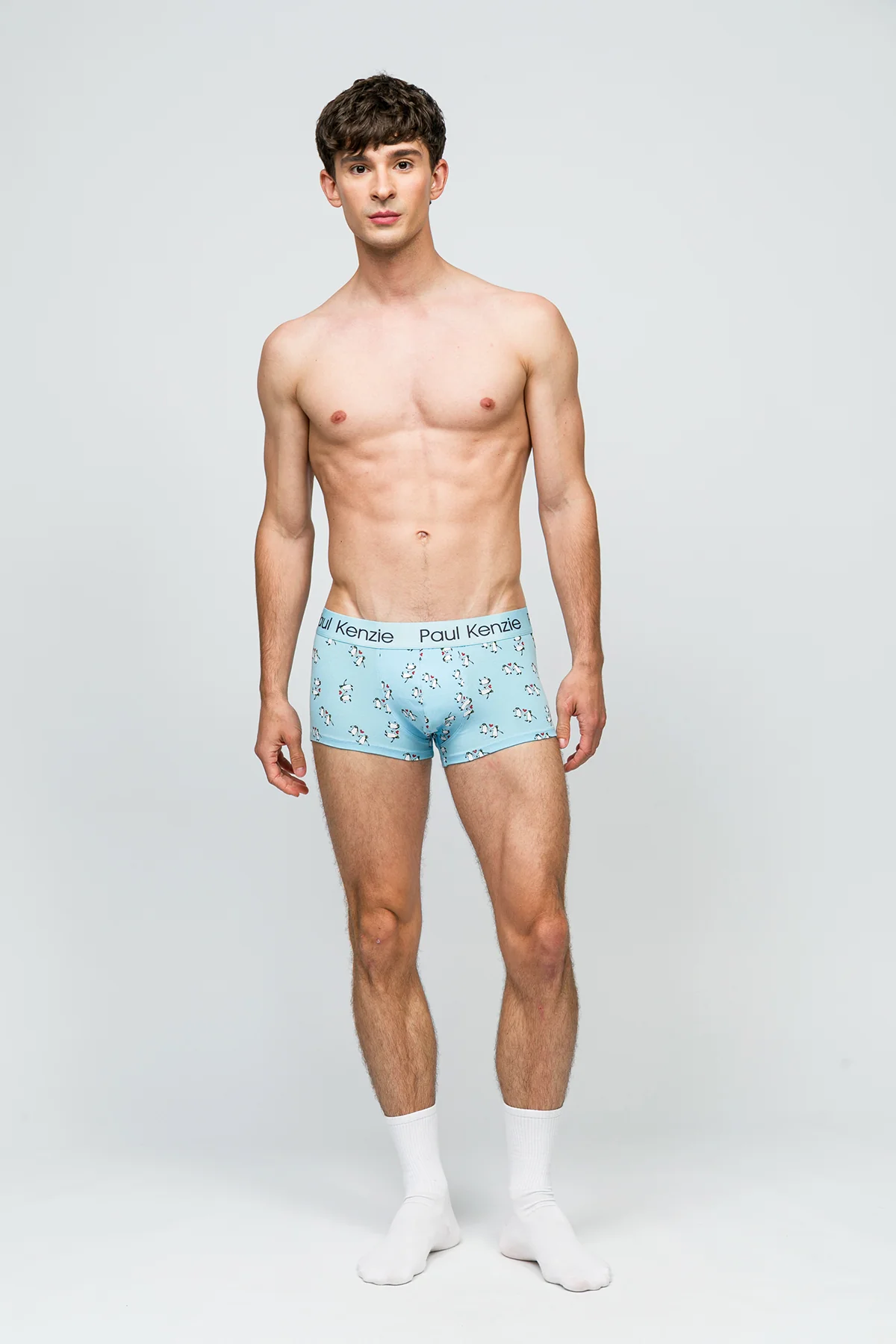 Erkek Trunk Boxer - Penguin Love - Image 3