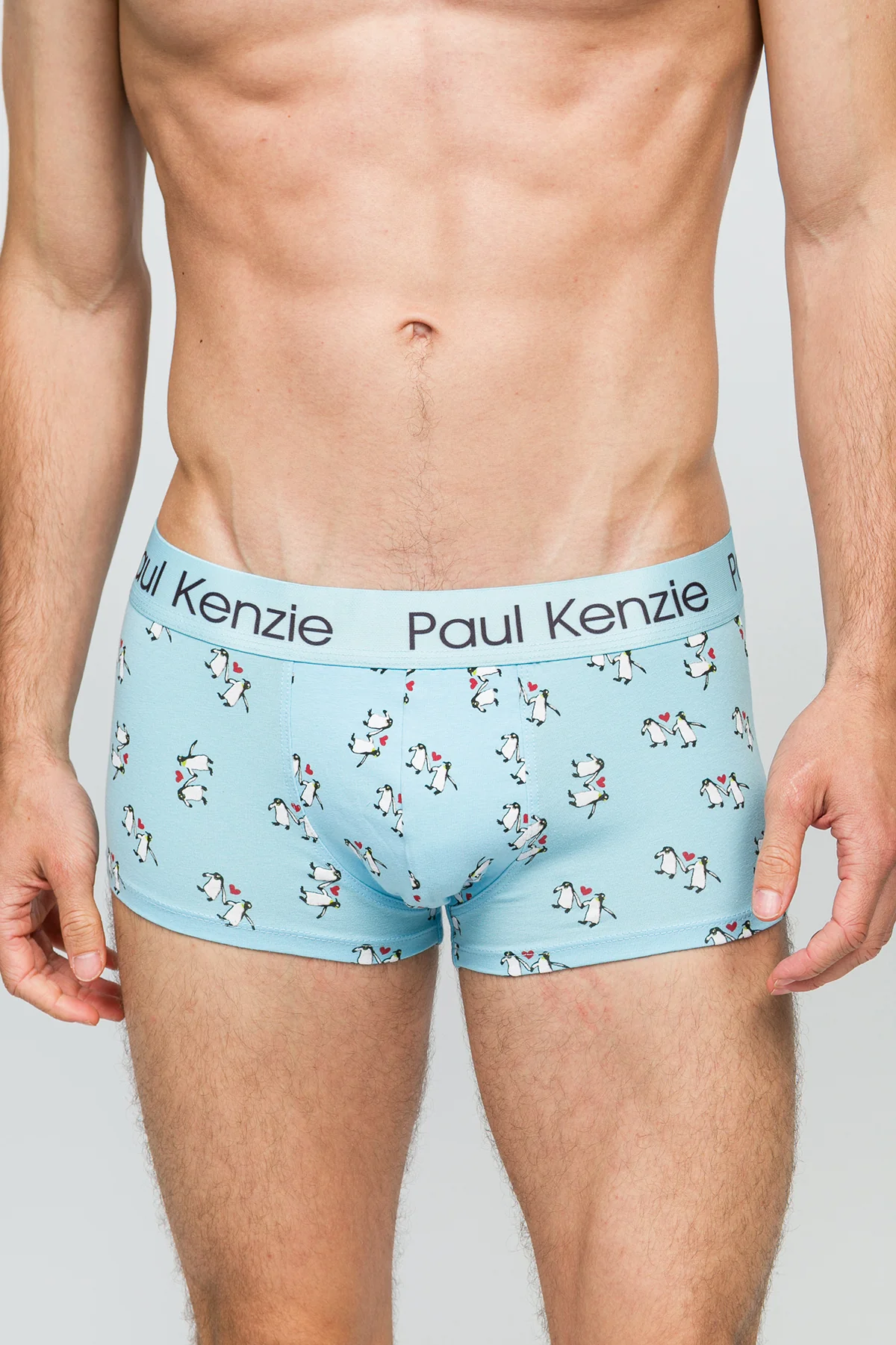 Erkek Trunk Boxer - Penguin Love - Image 5
